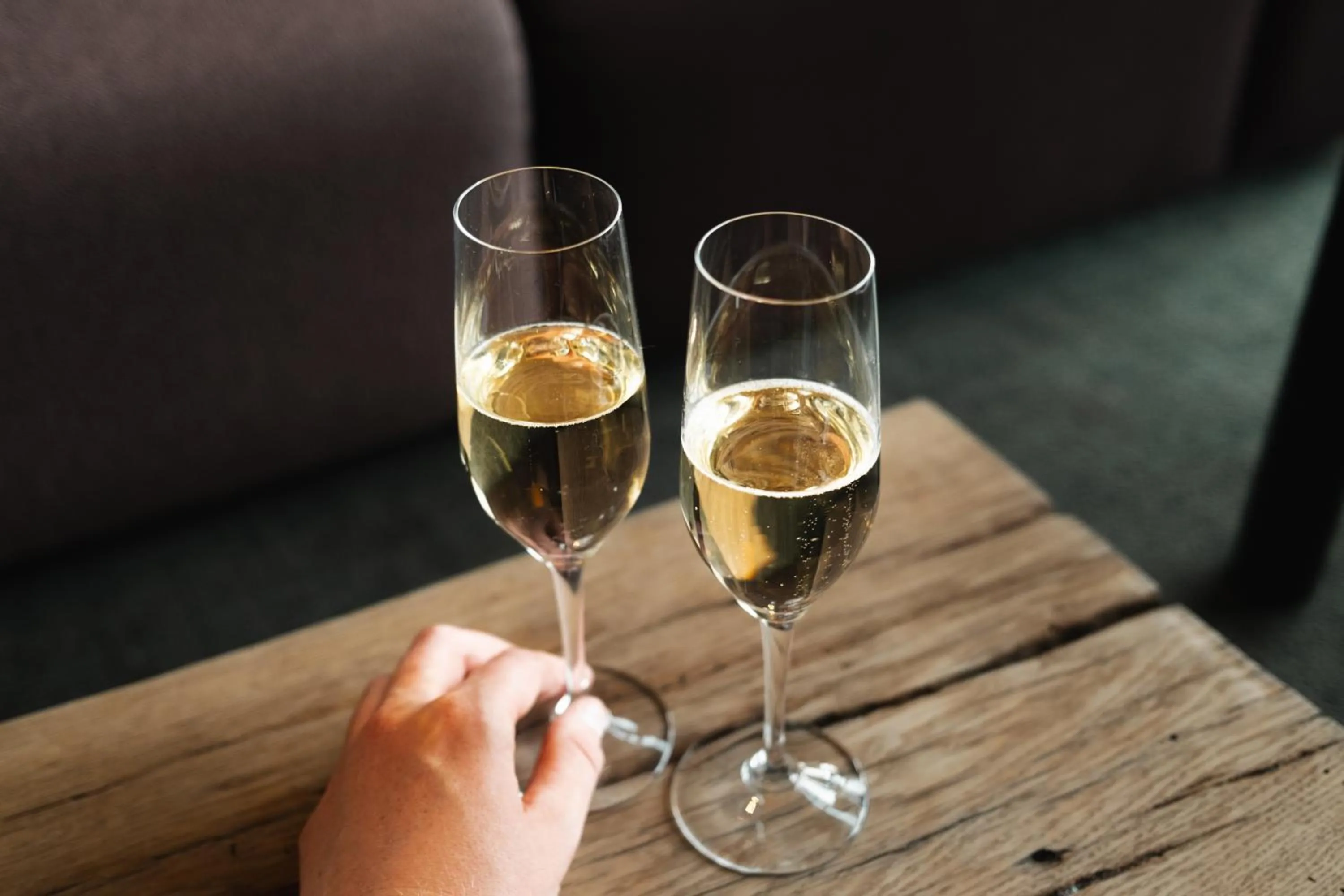 Lounge or bar in Peak 12 Hotel