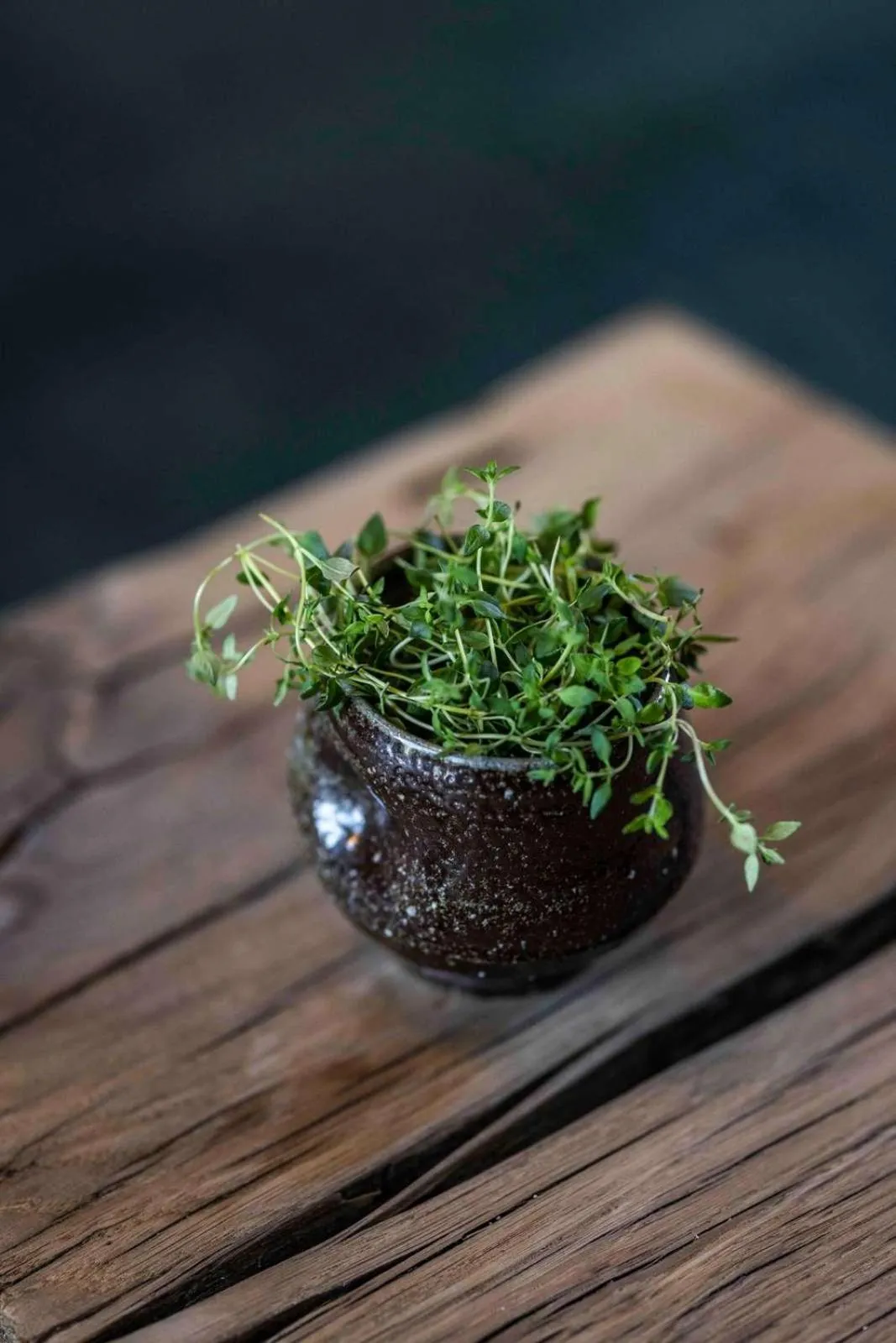 Lounge or bar in Peak 12 Hotel