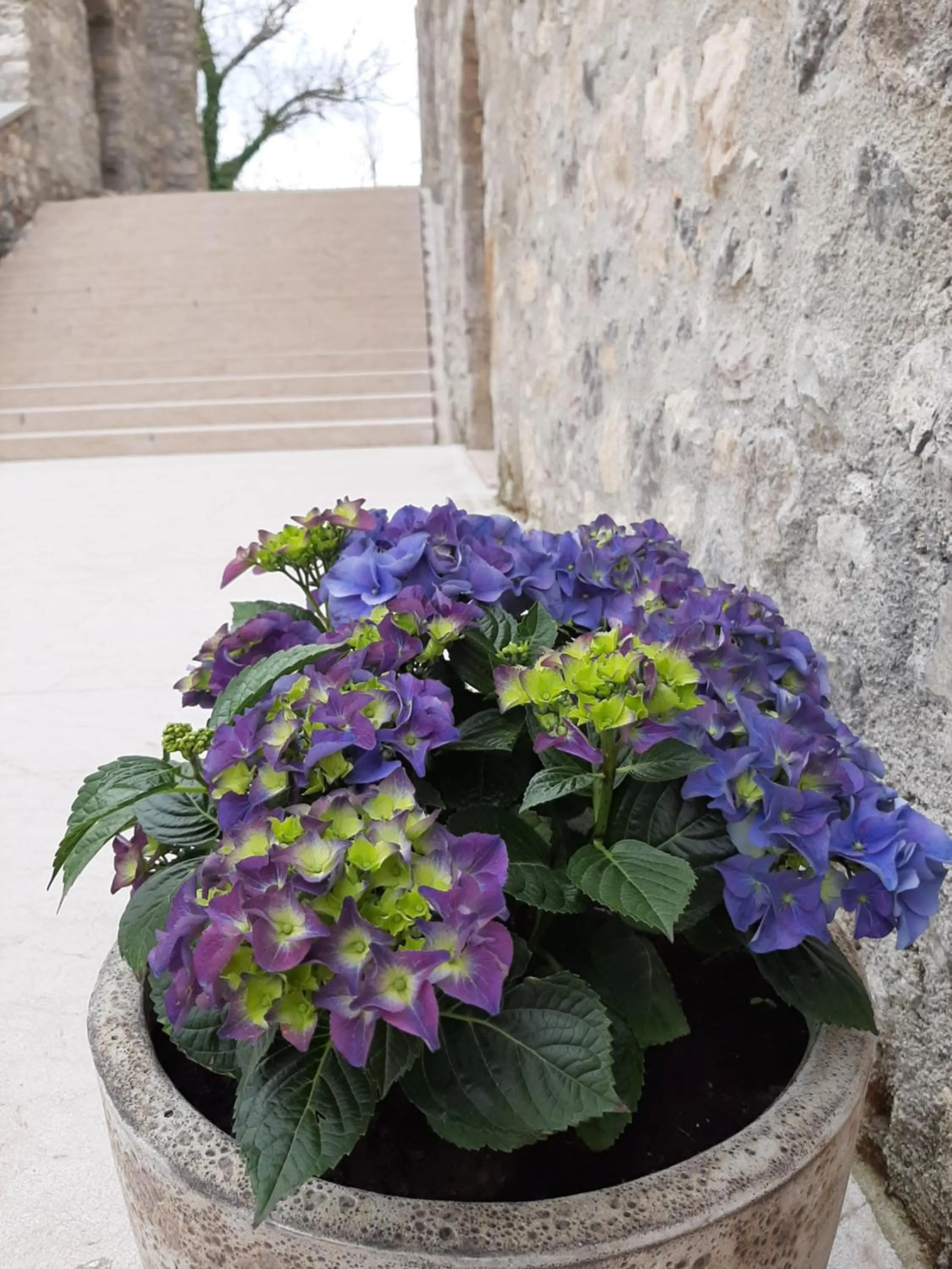 Facade/entrance in Vinica Castle Boutique & Spa Hotel