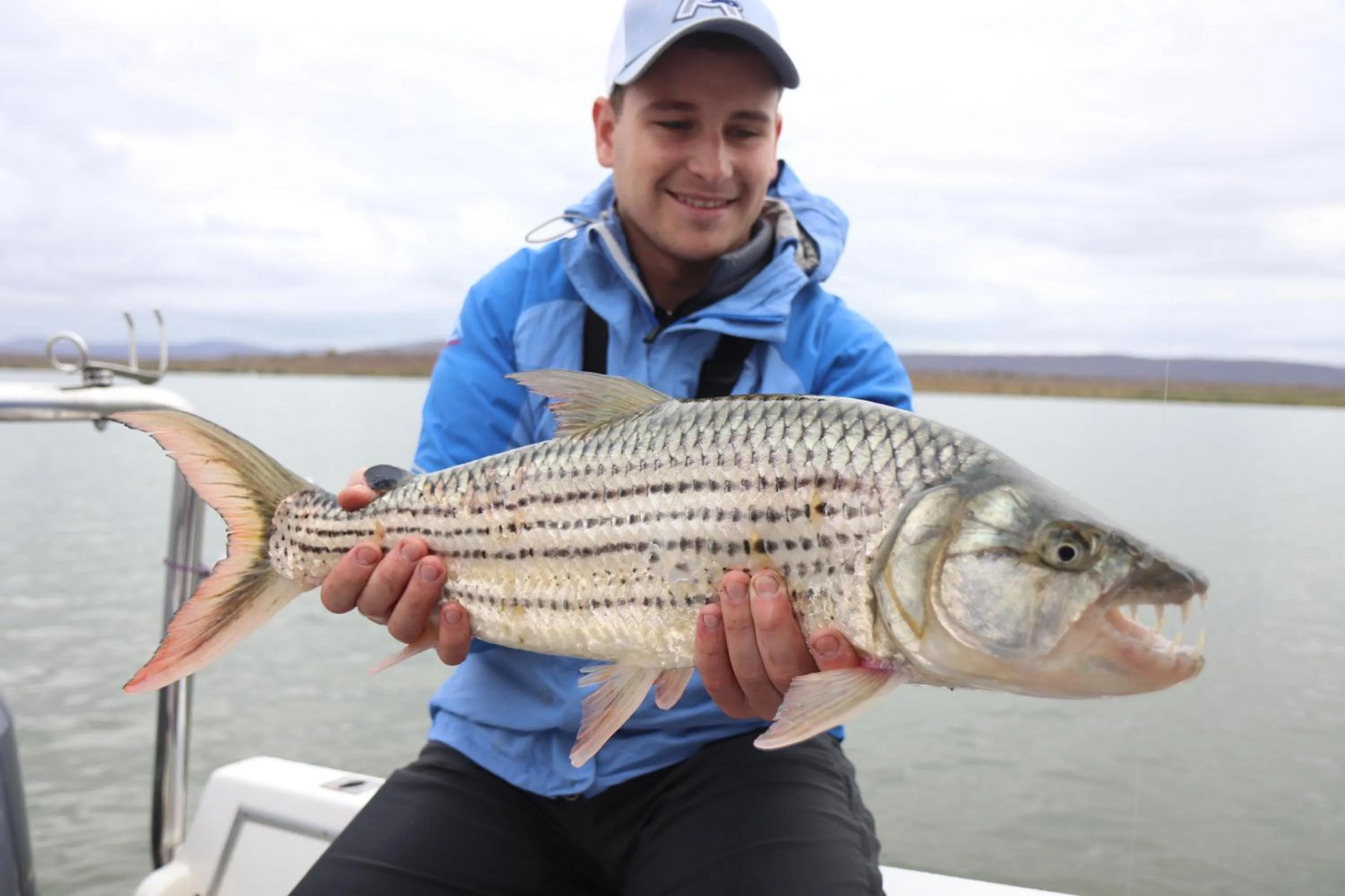 Activities in AfriCamps at White Elephant Safaris