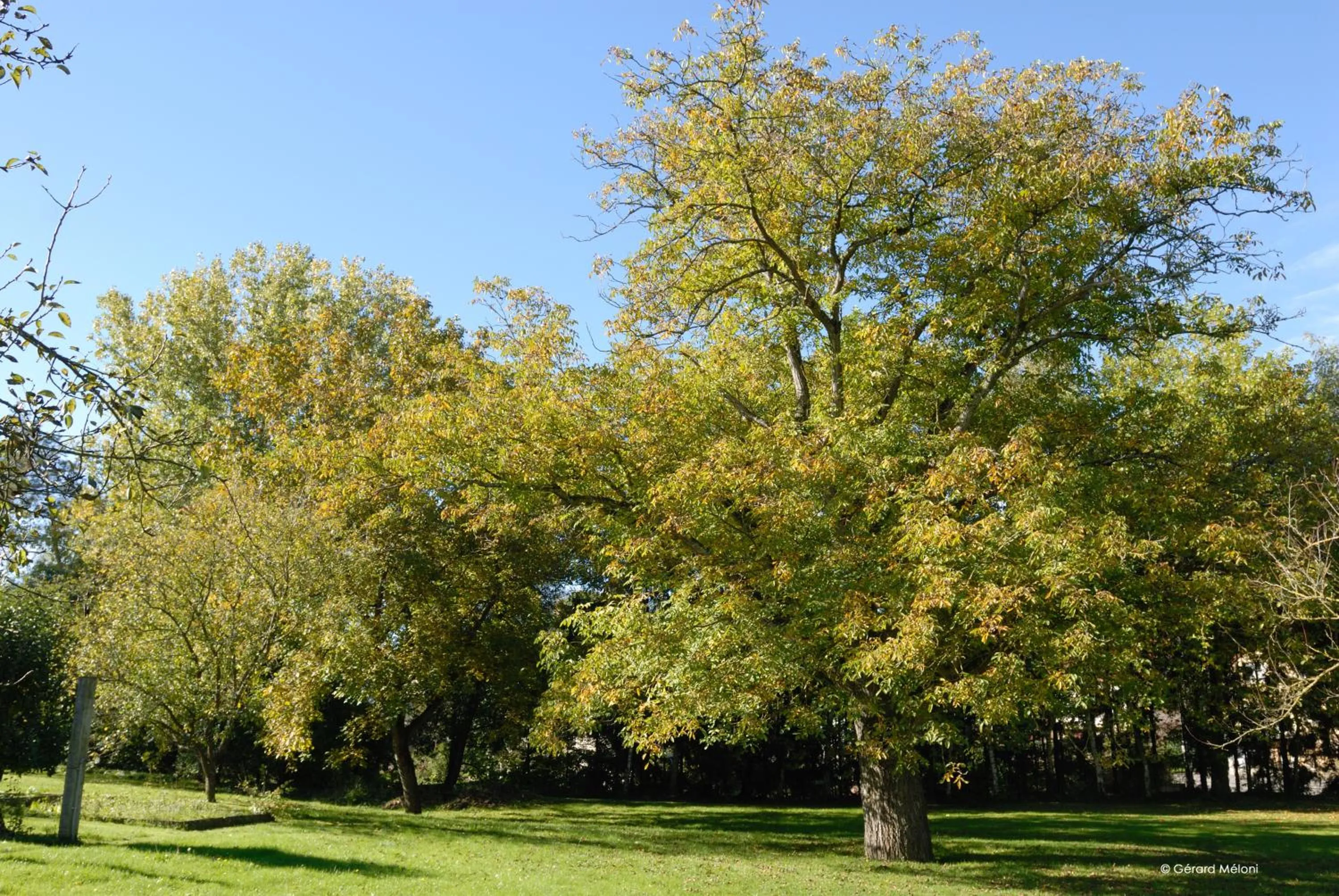 Garden in Auberge Saint Walfrid Hôtel Restaurant & Spa