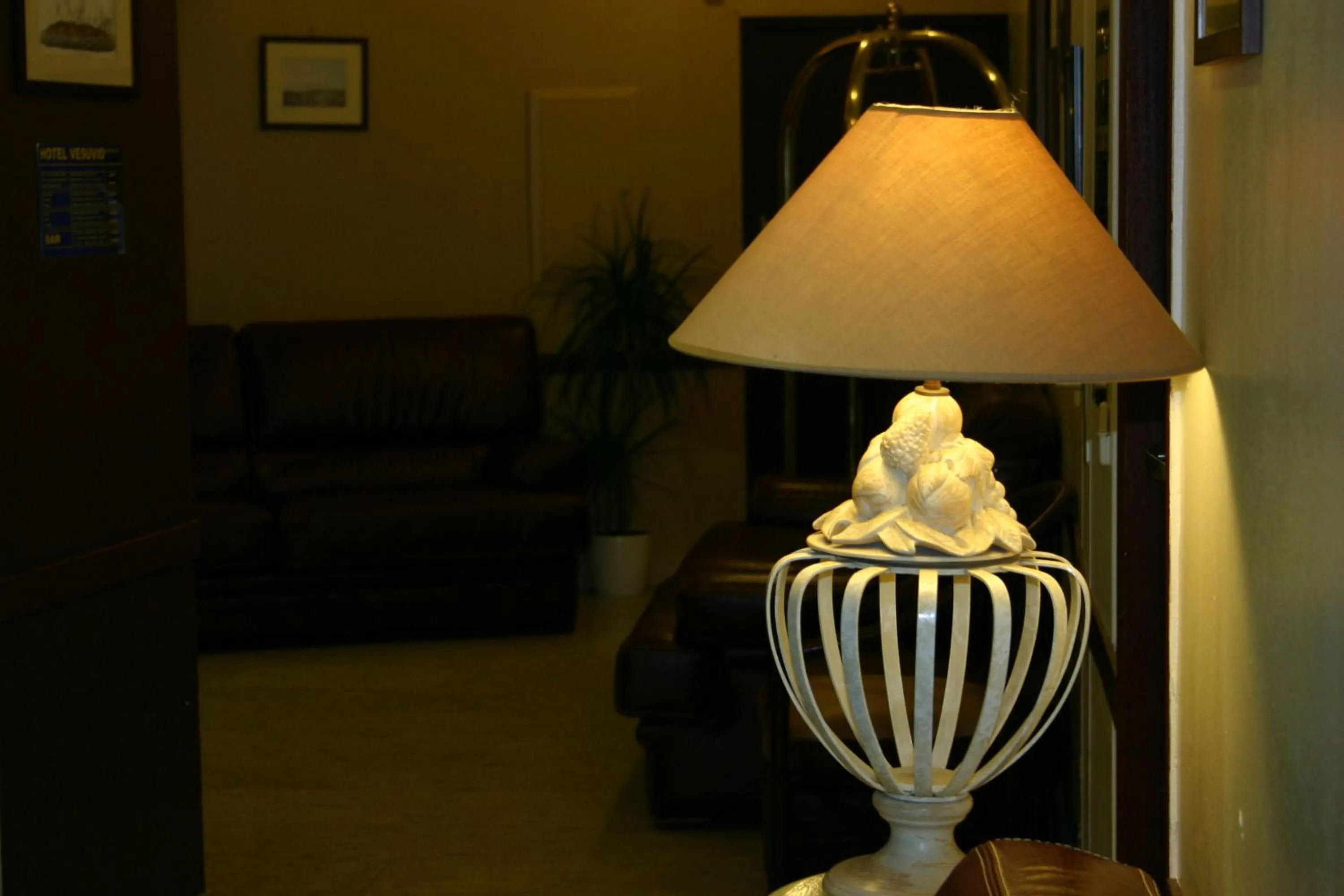 Lobby or reception in Hôtel Vesuvio