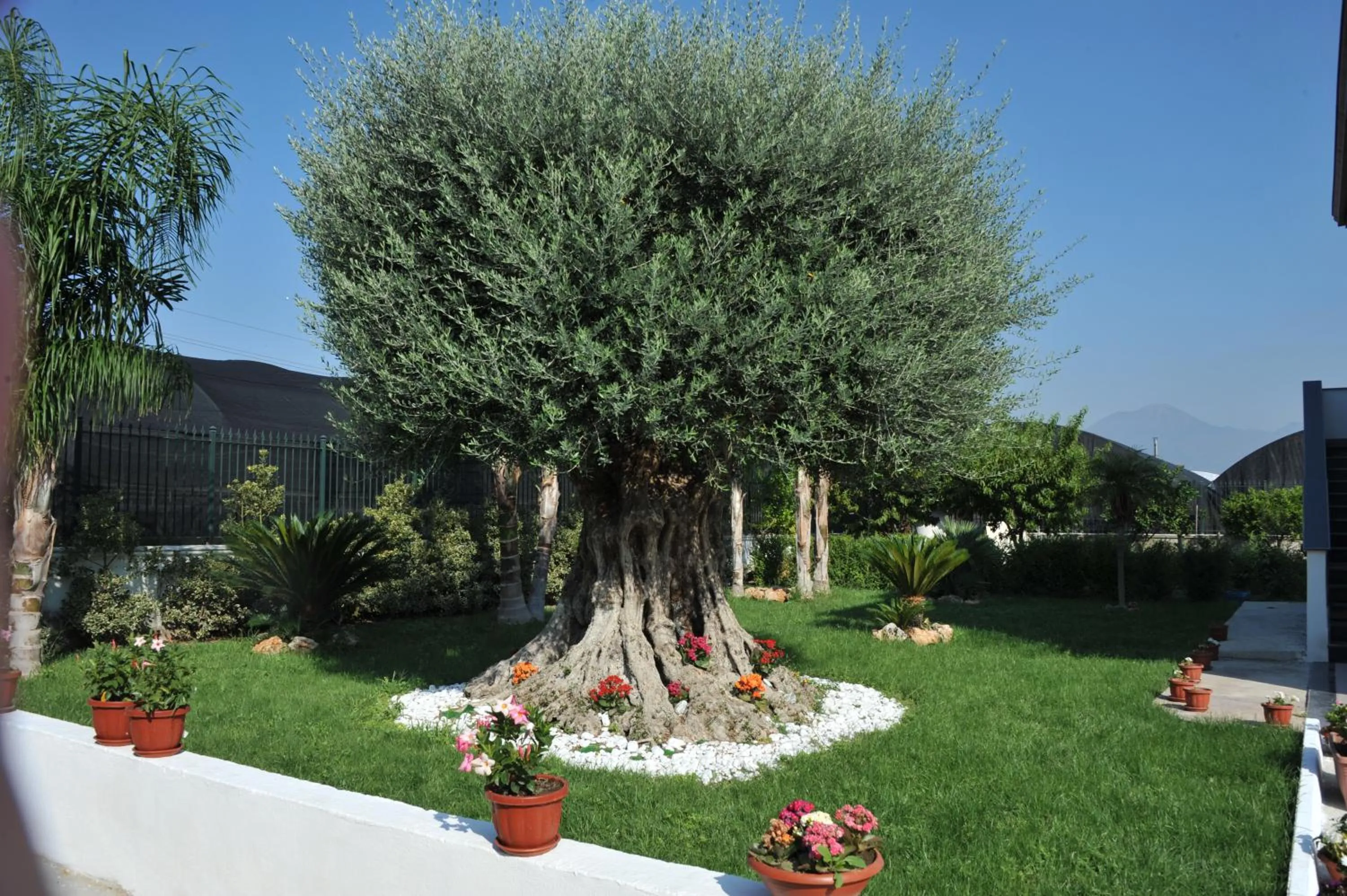 Garden in B&B Cascina Fiorita