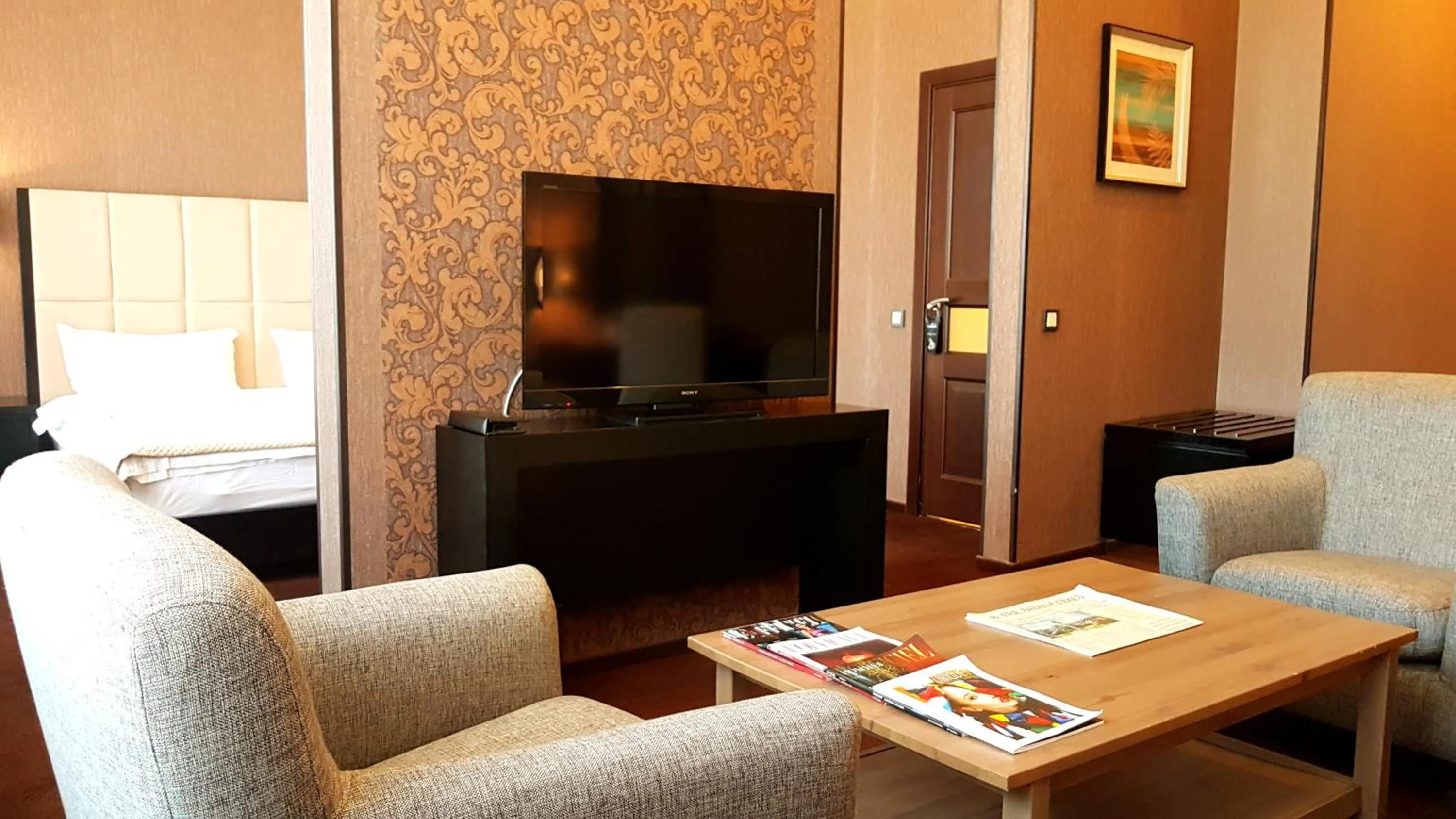 TV and multimedia in JELSOMINOHotel