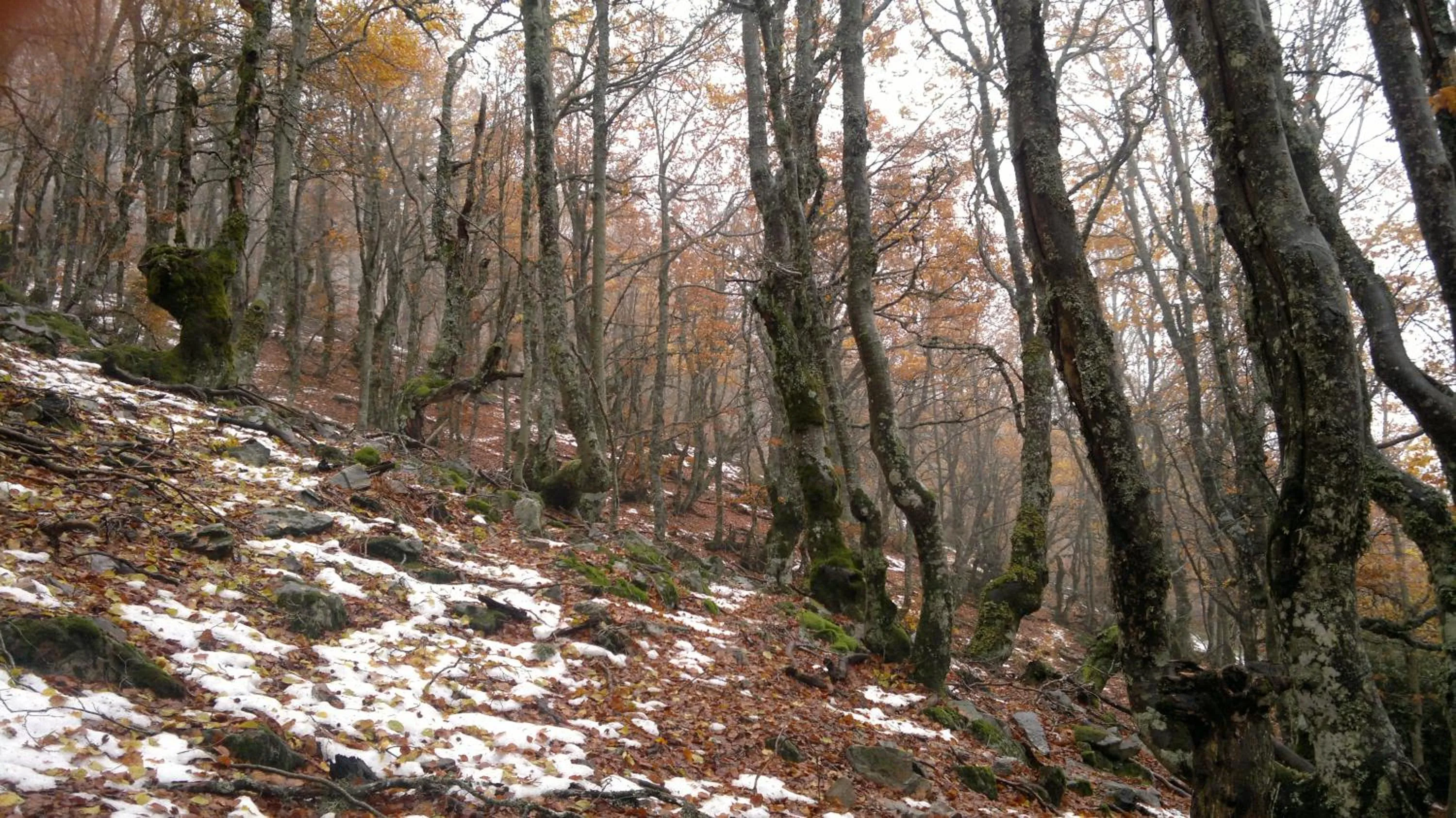 Natural landscape in HOTEL RURAL LA ROMEROSA