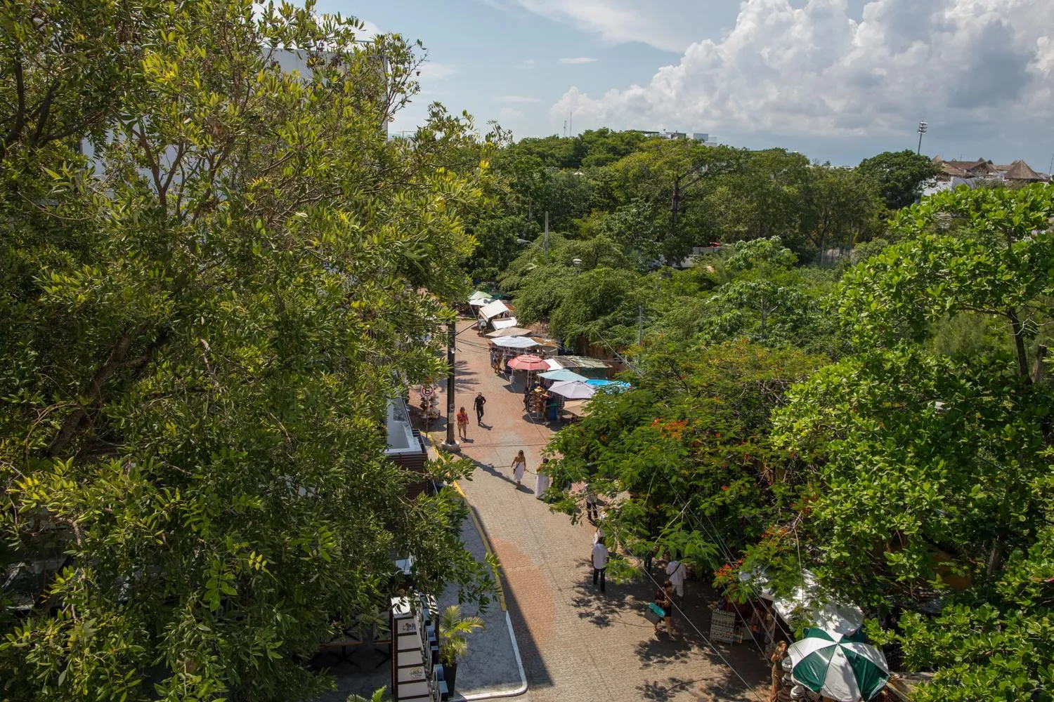 Street view in San Pedro Hotel, 5ta Avenida