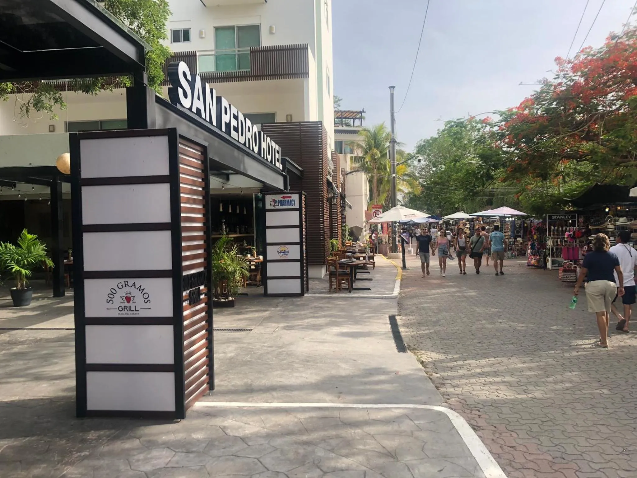 Property building in San Pedro Hotel, 5ta Avenida