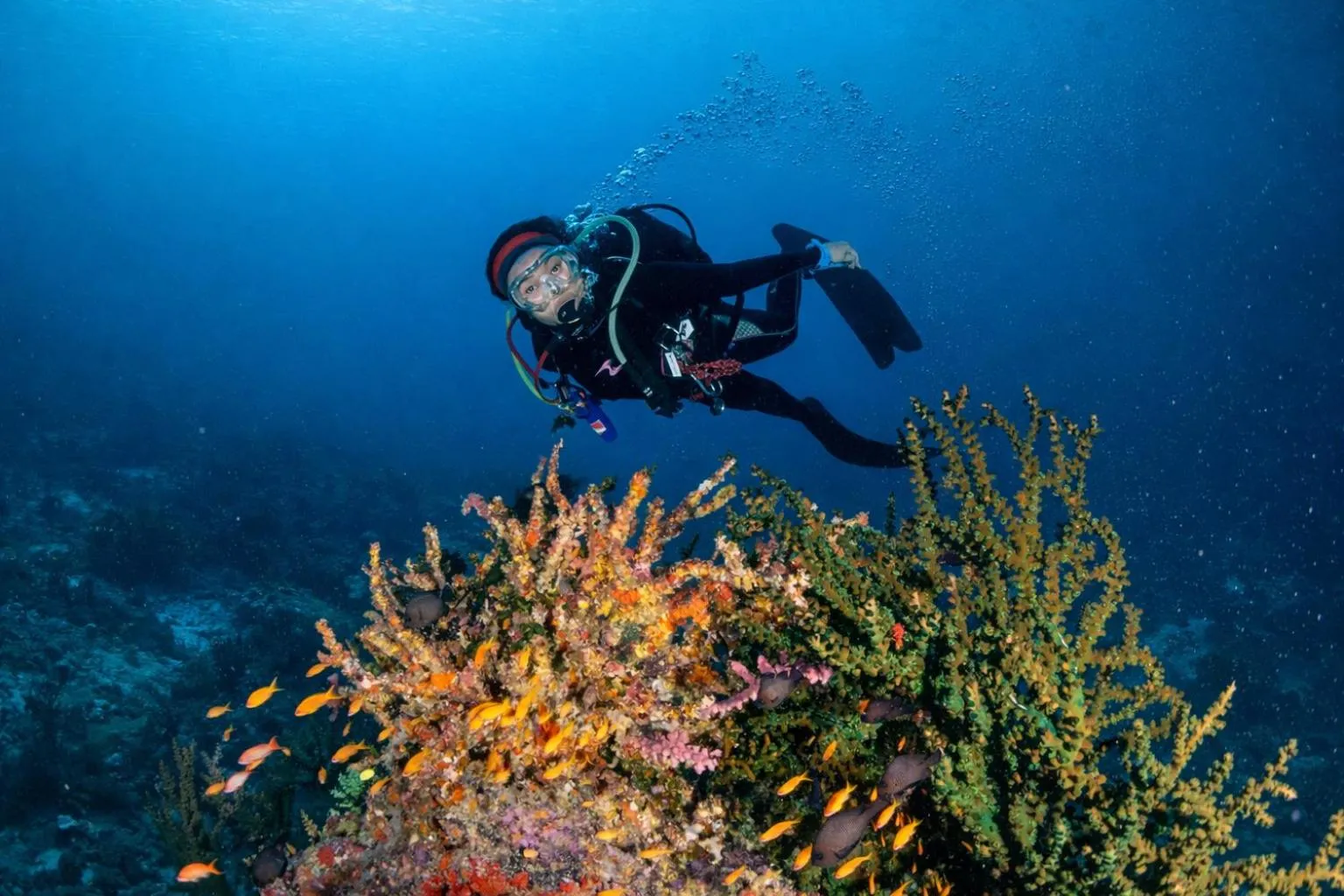 The Pade Dive Resort