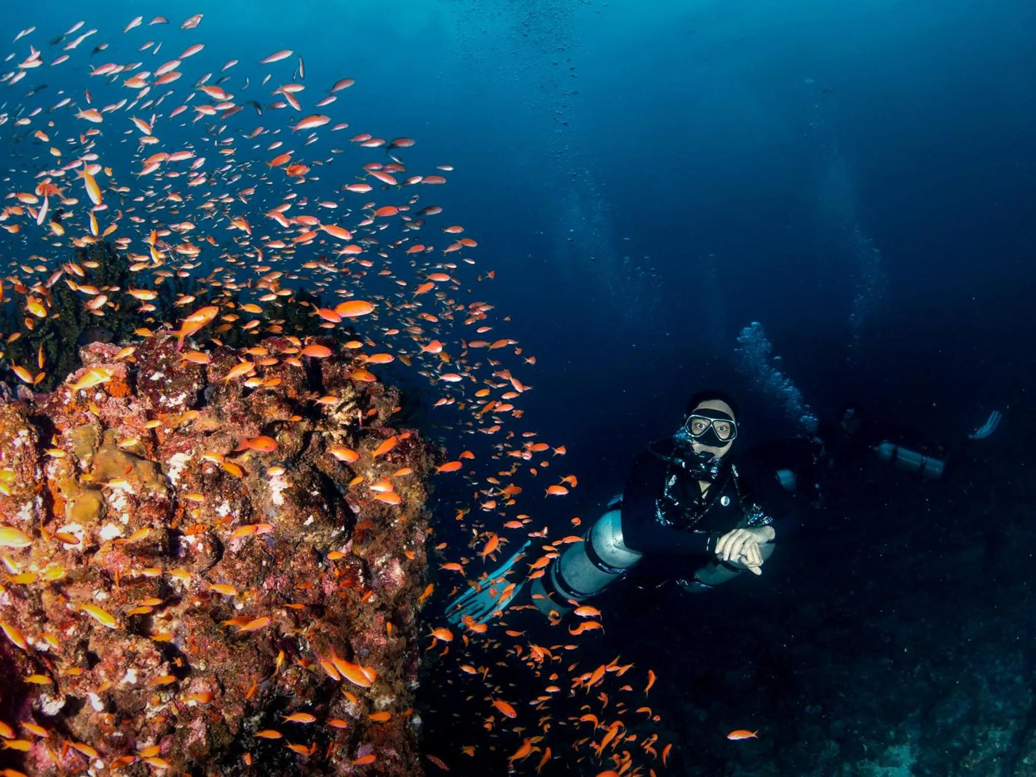 The Pade Dive Resort