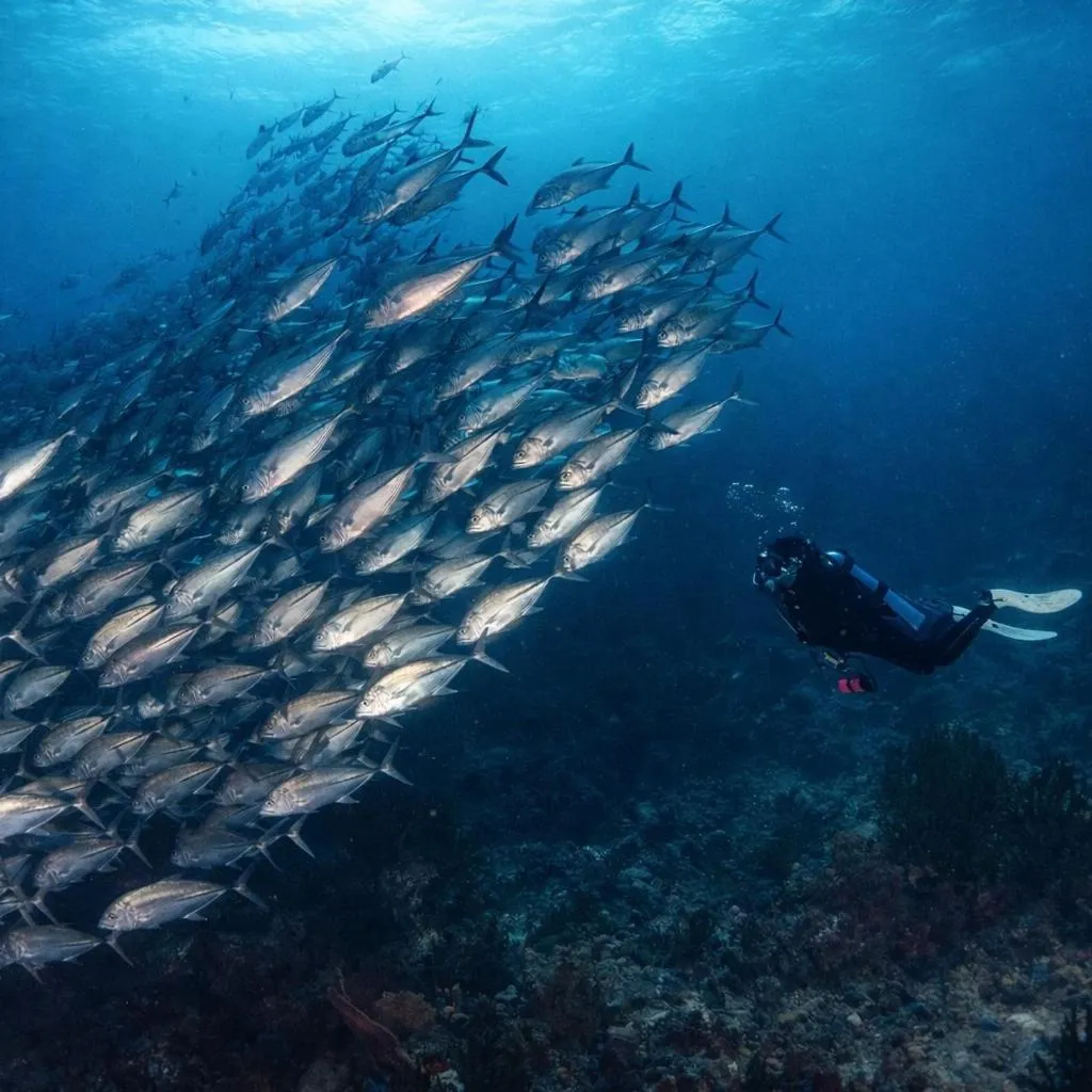 The Pade Dive Resort