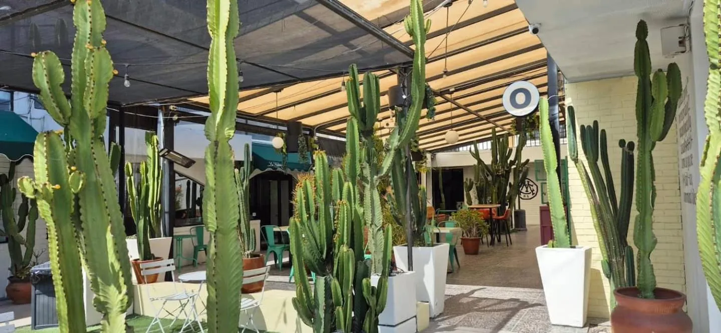 Coyote Lofts-Estacion Federal