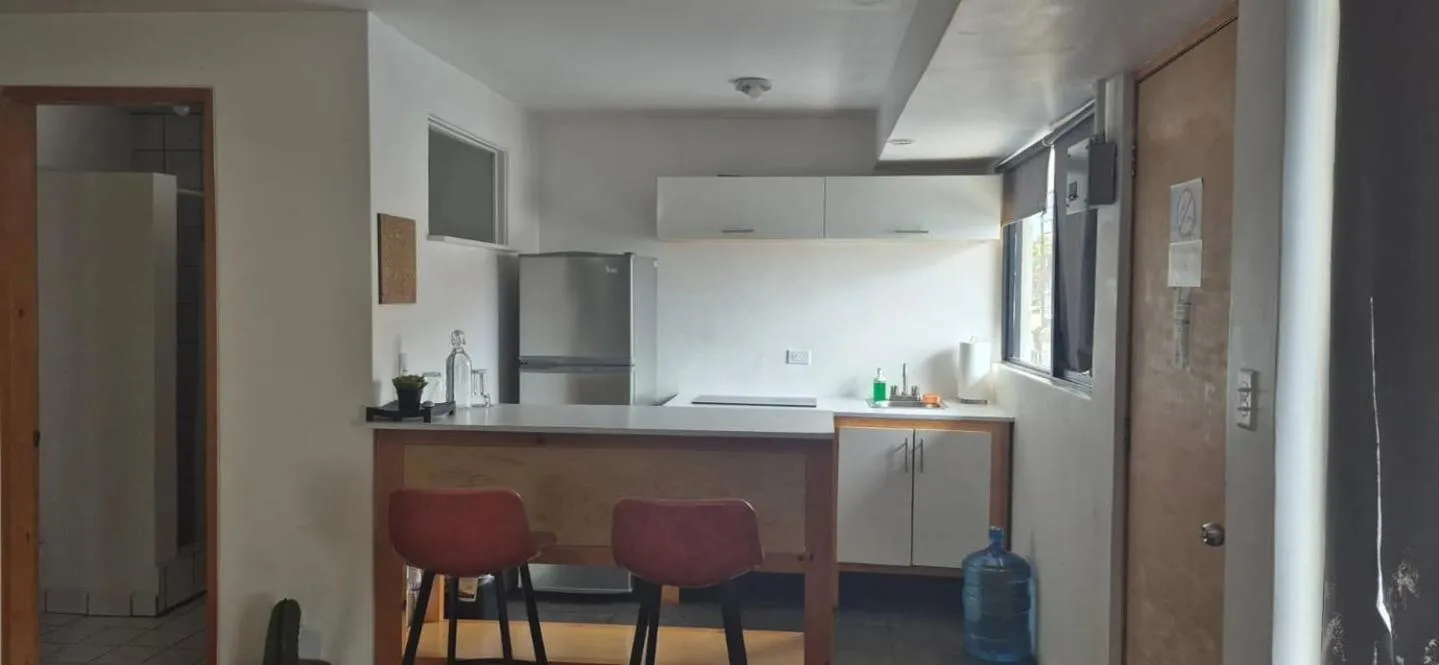 Coyote Lofts-Estacion Federal