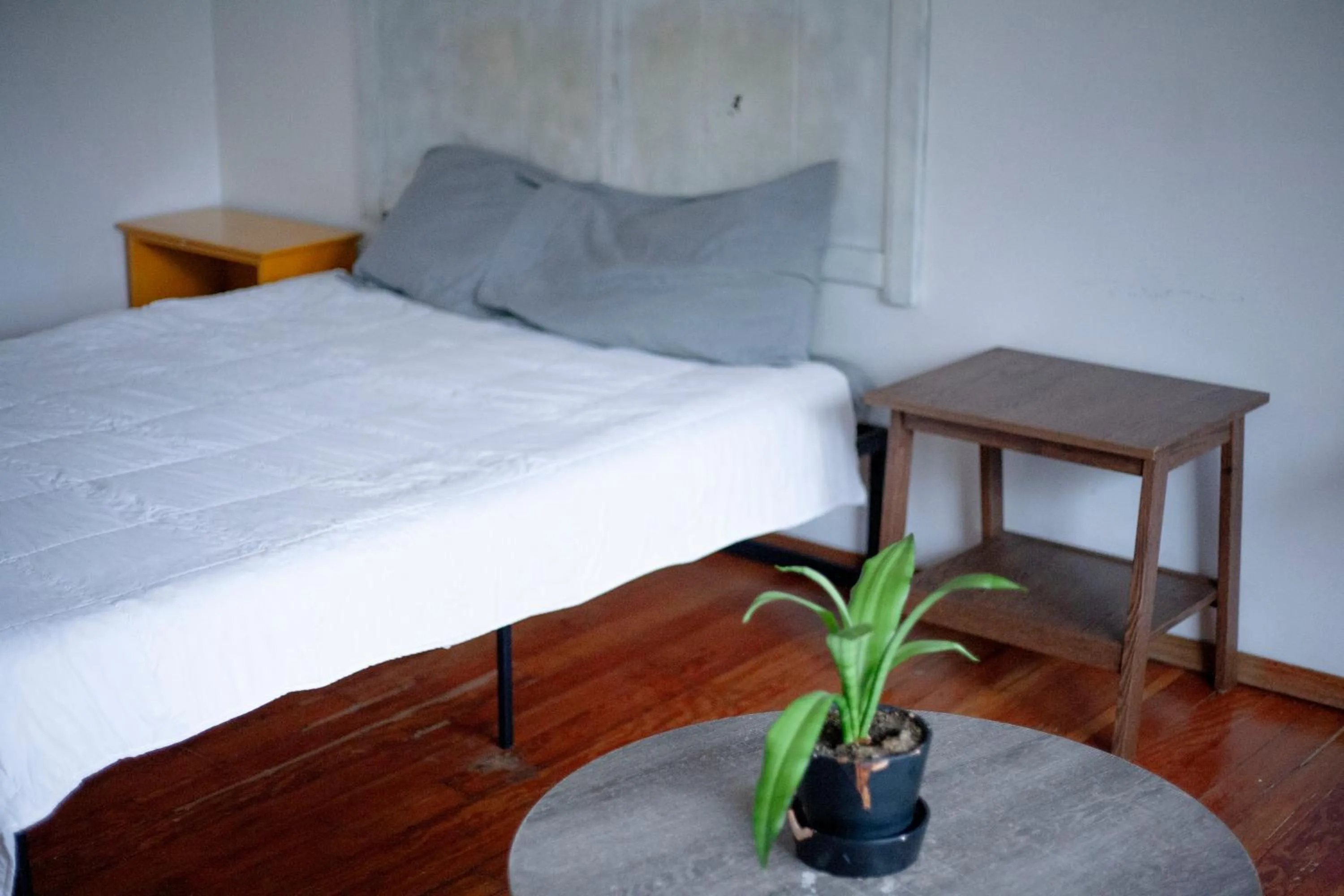Bed in Coyote Lofts-Estacion Federal