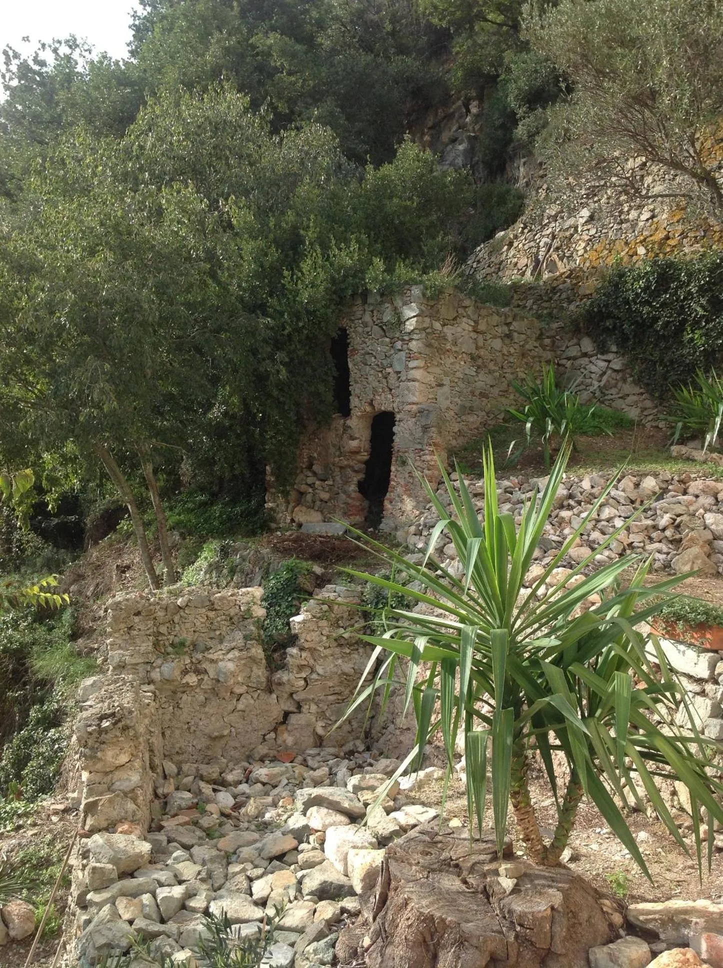 Garden in B&B Lacrêma