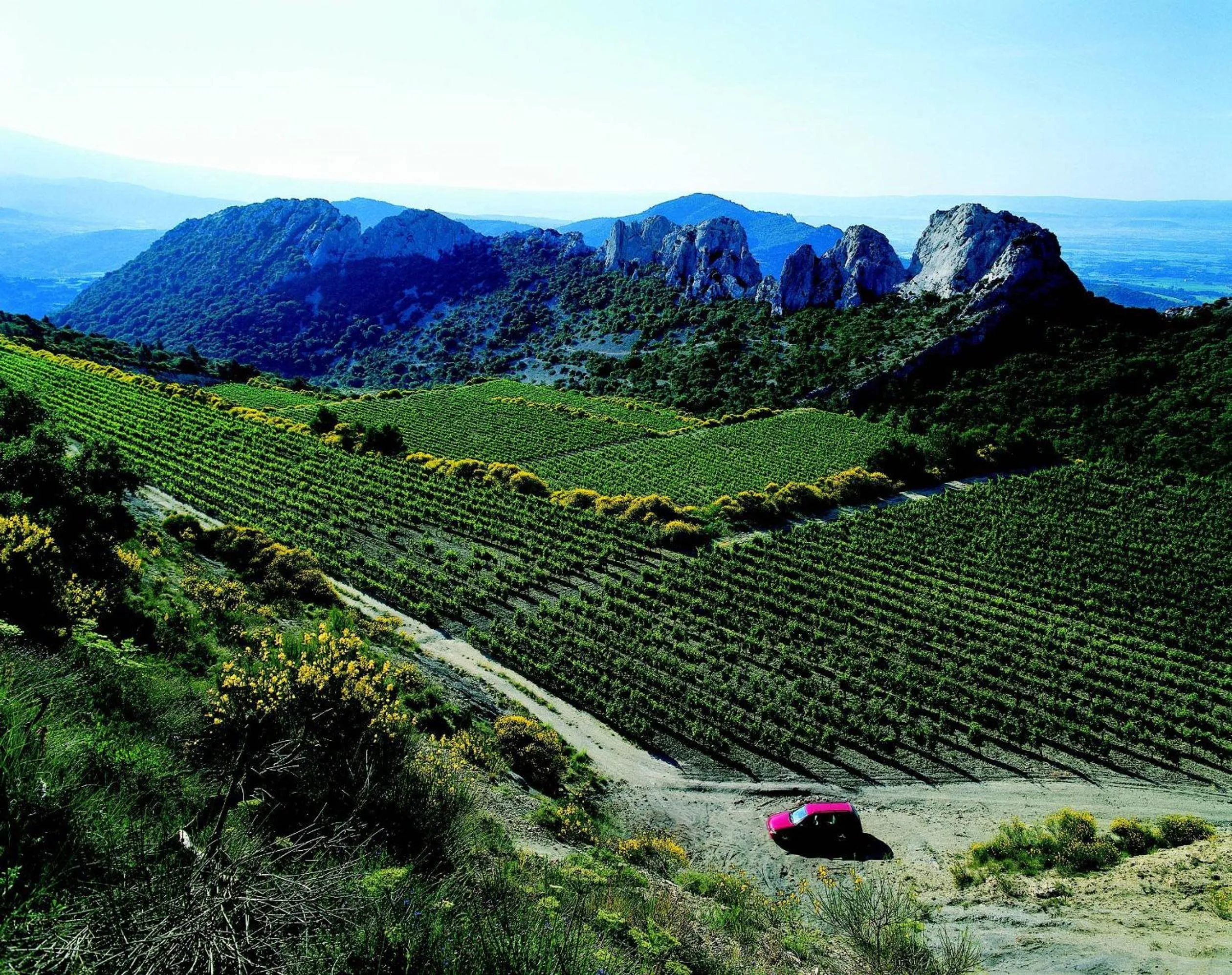 Natural landscape in Hôtel Le Pradet