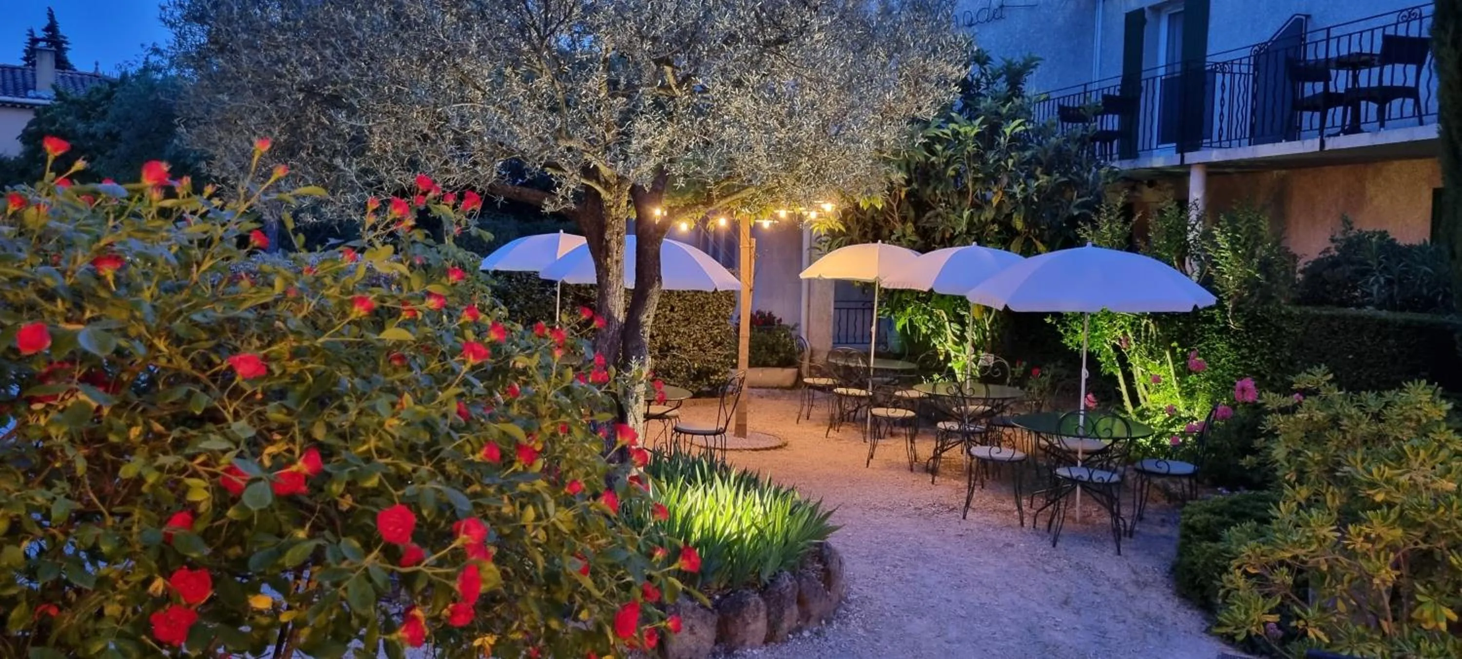 Restaurant/places to eat in Hôtel Le Pradet