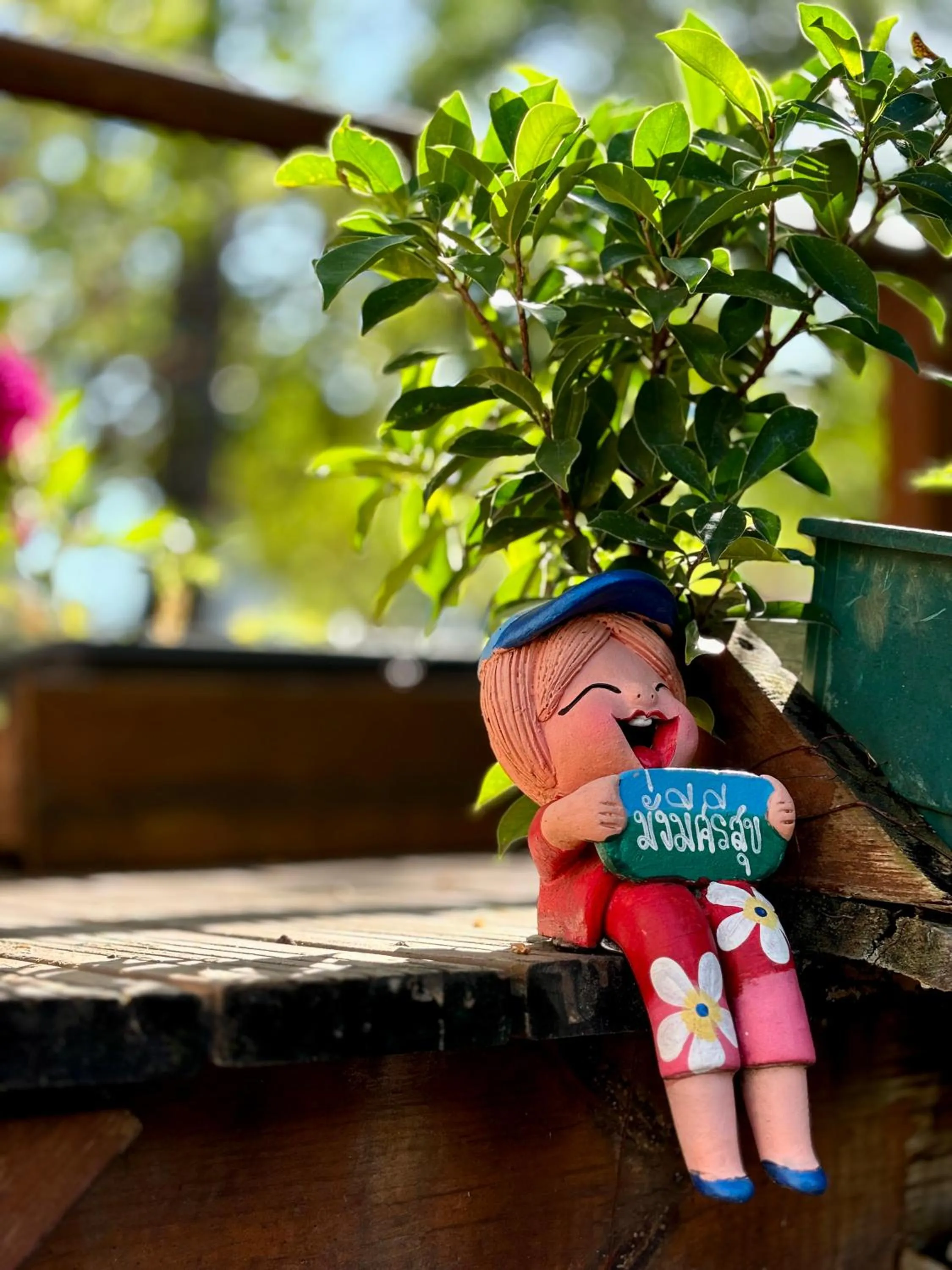 Garden in Hôtel Coco Island