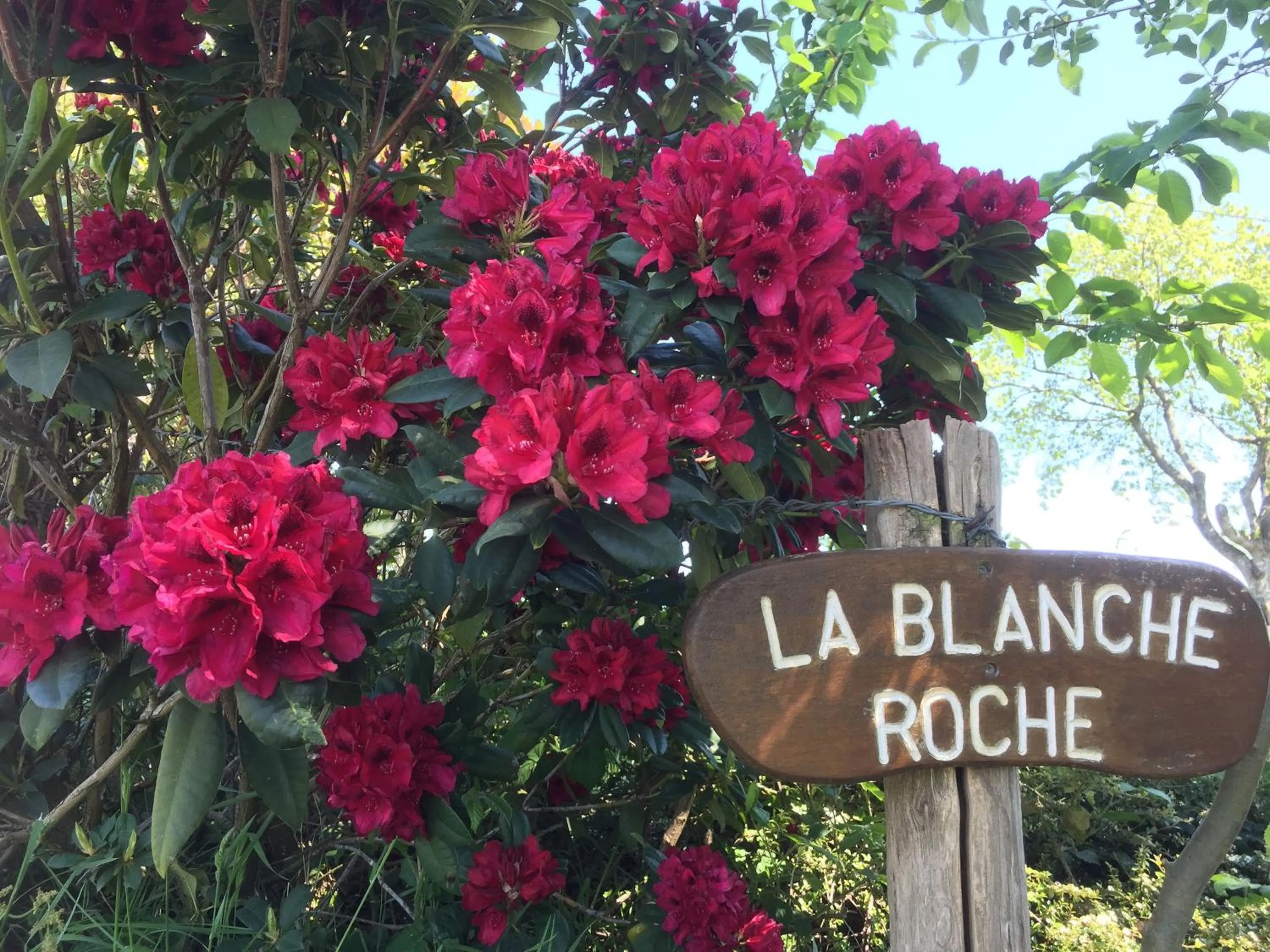 Property logo or sign in La Blanche Roche