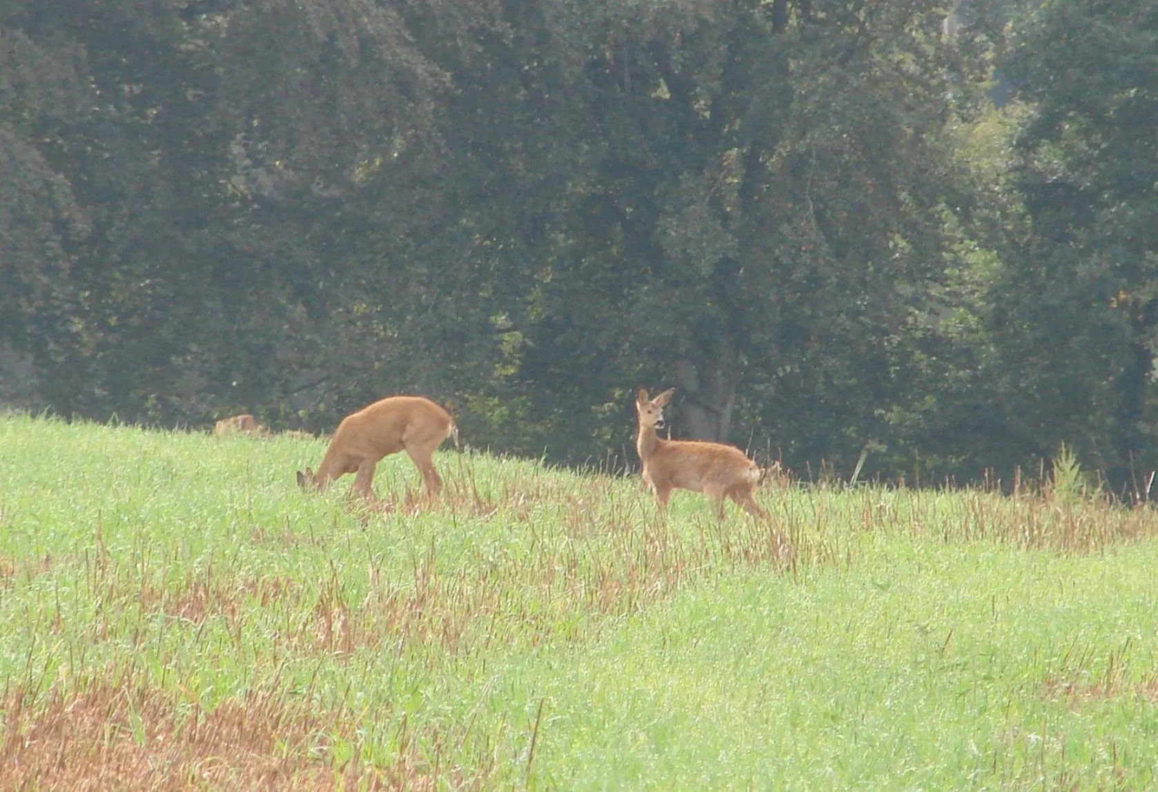 View (from property/room) in La Blanche Roche