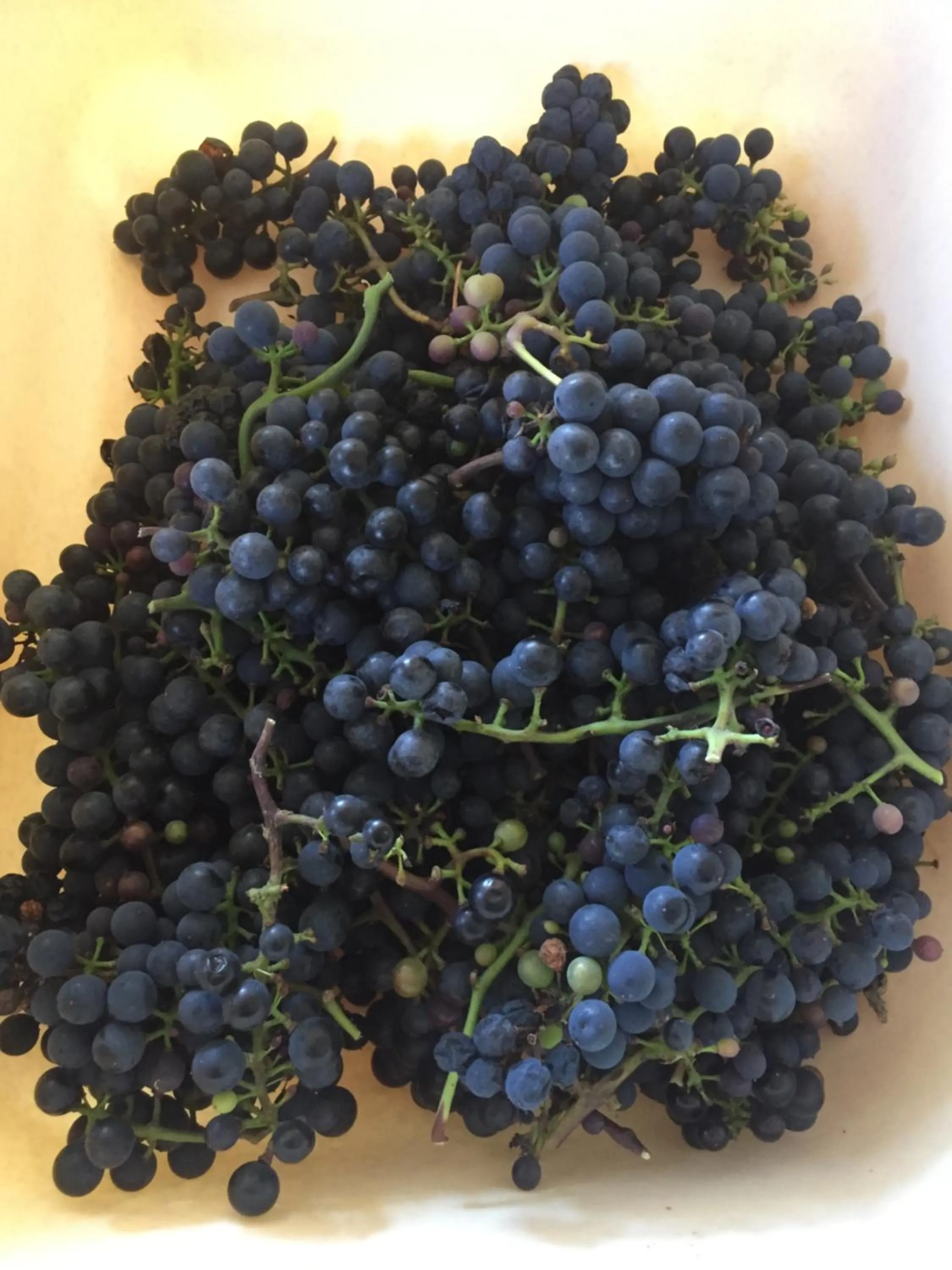 Food in La Blanche Roche