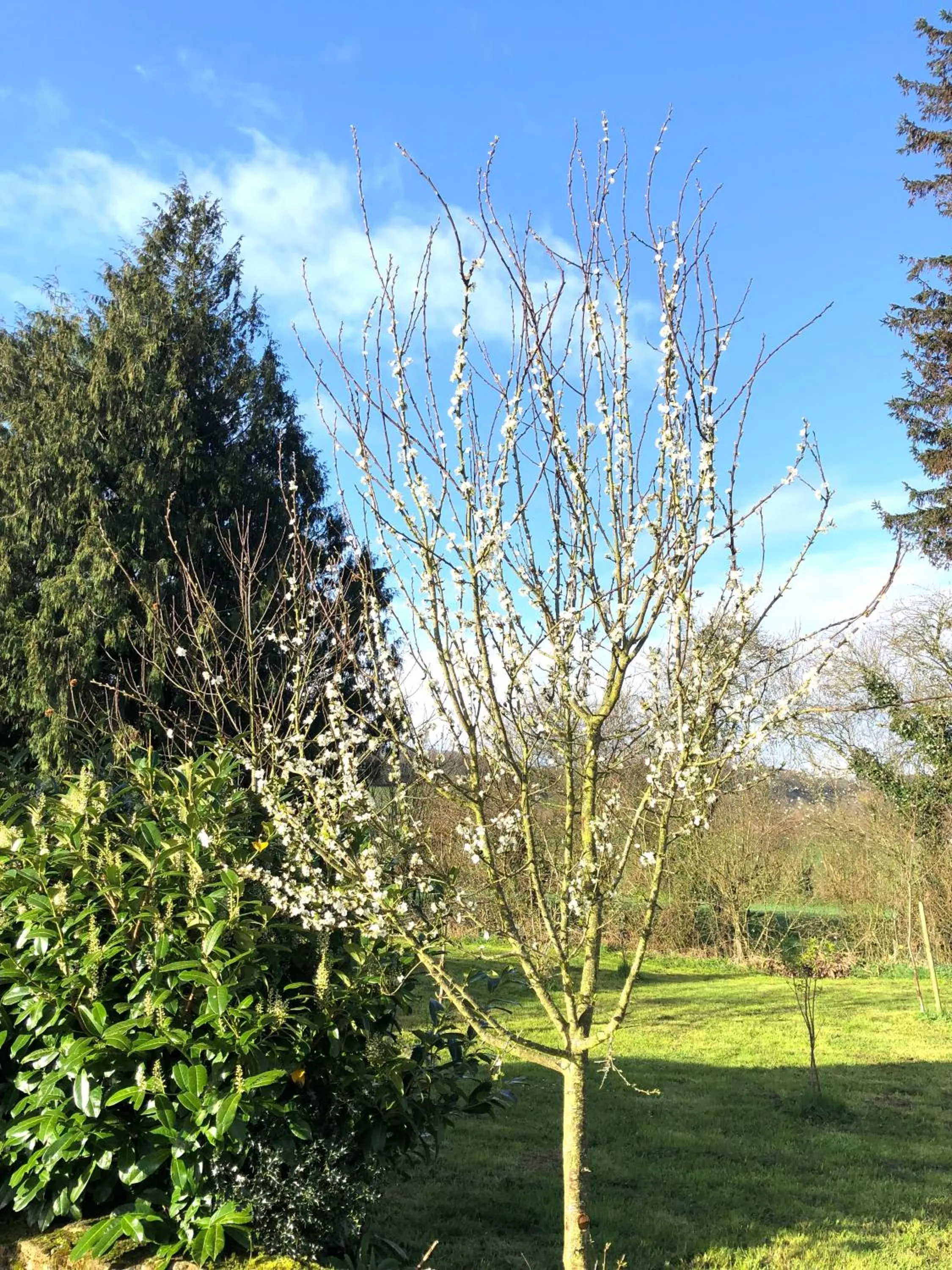 Spring in La Blanche Roche