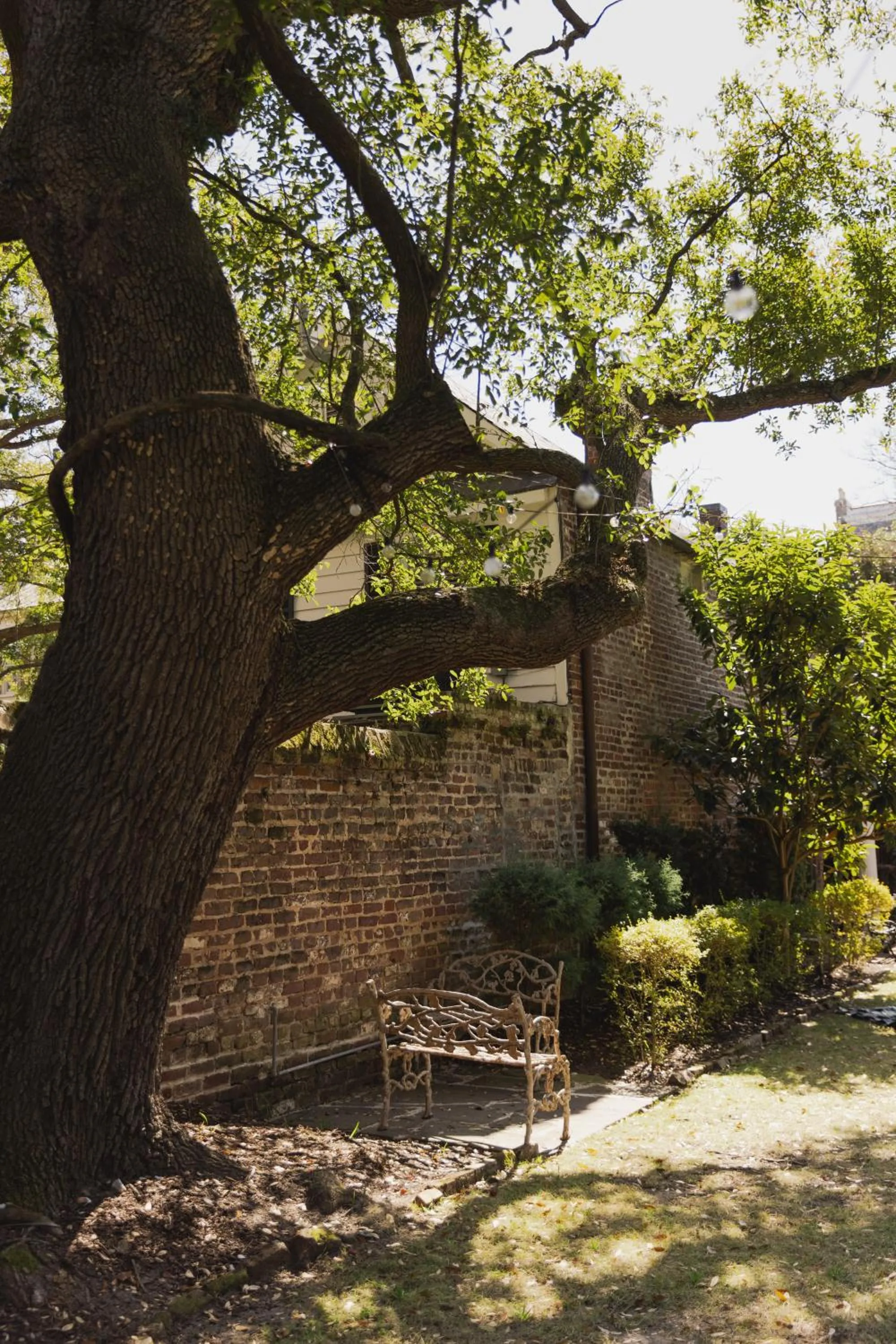Garden view in 20 South Battery