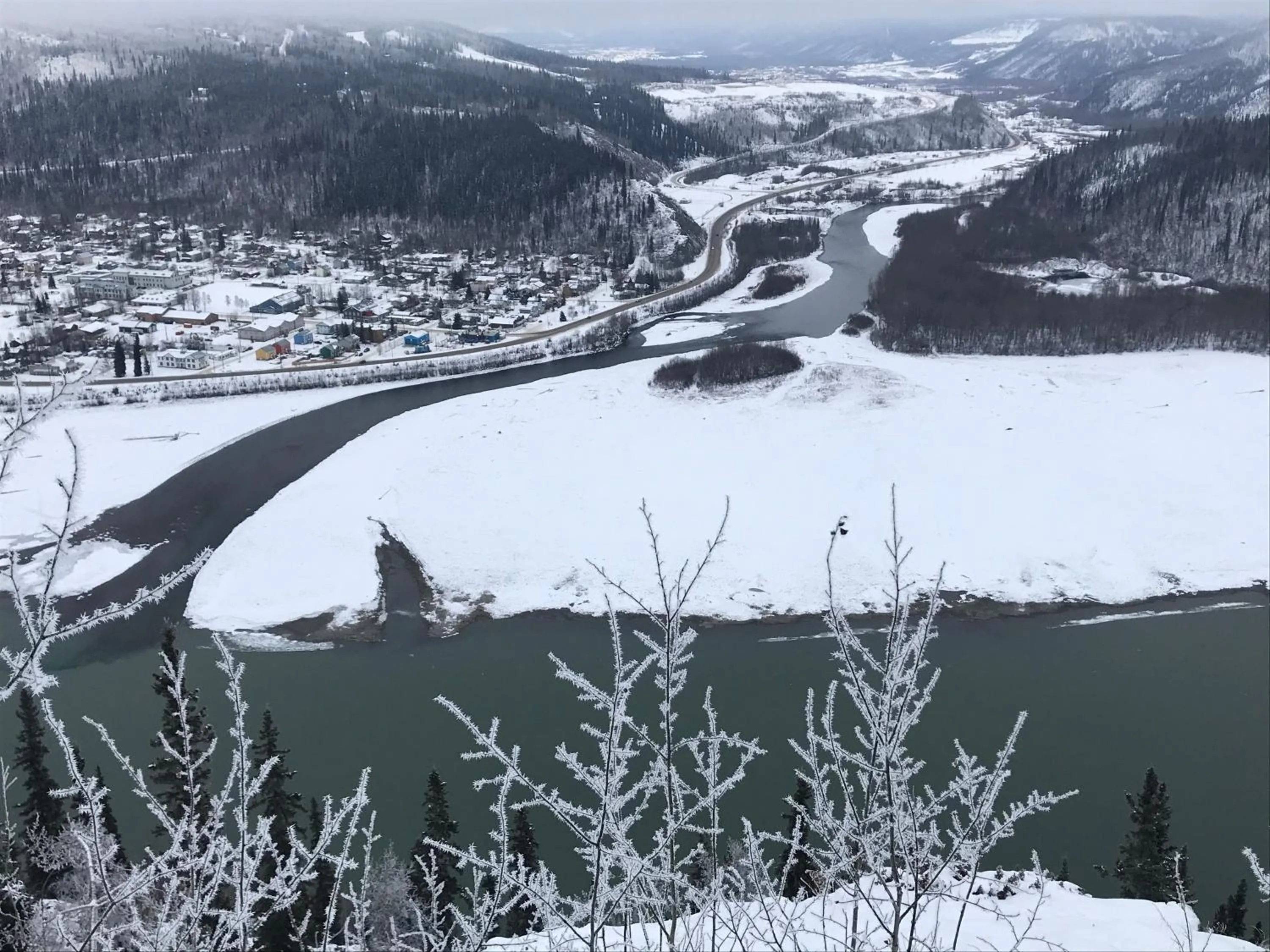 Neighbourhood in Dawson Lodge