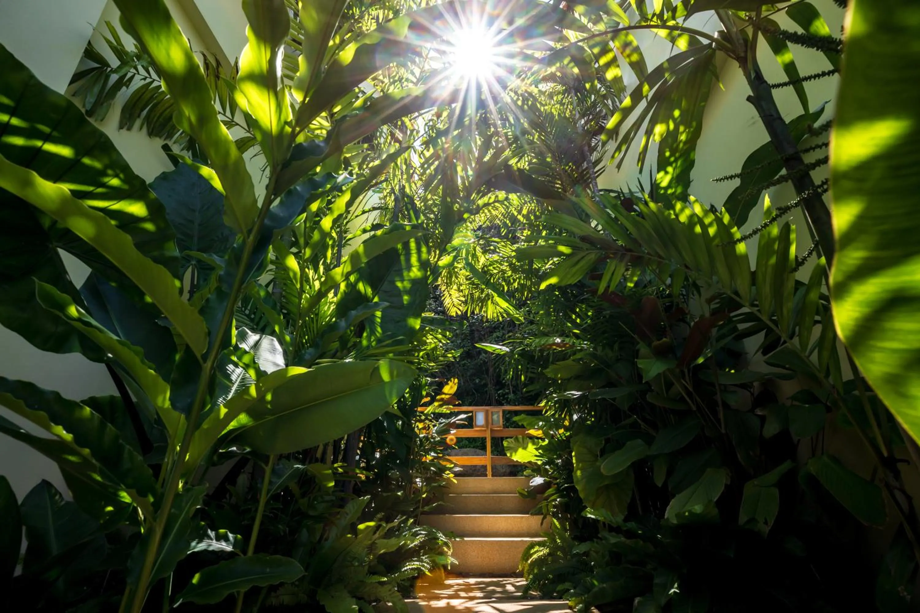 Wild Cottages Luxury and Natural - SHA Extra Plus Certified