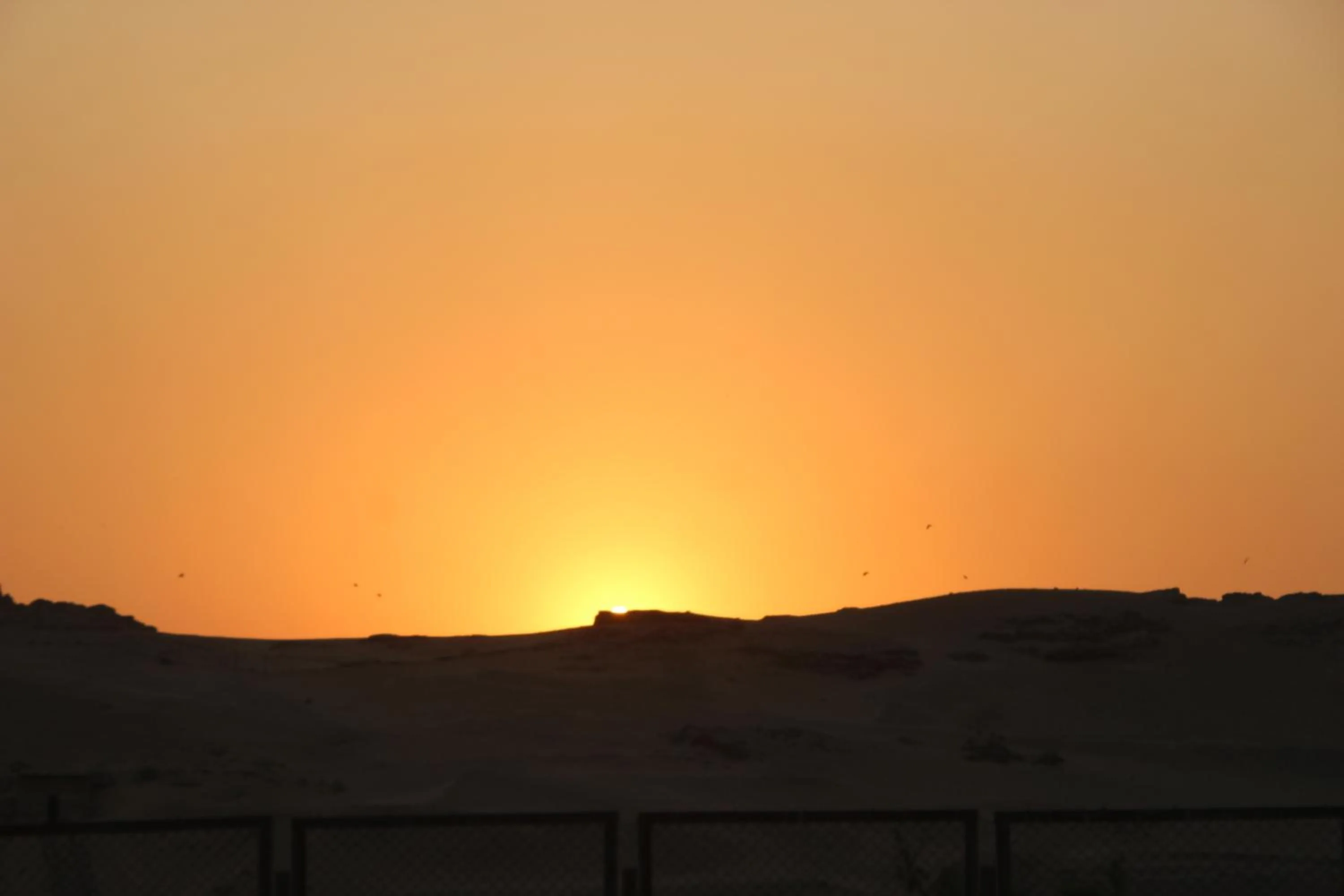 Farida Pyramids Boutique Hotel