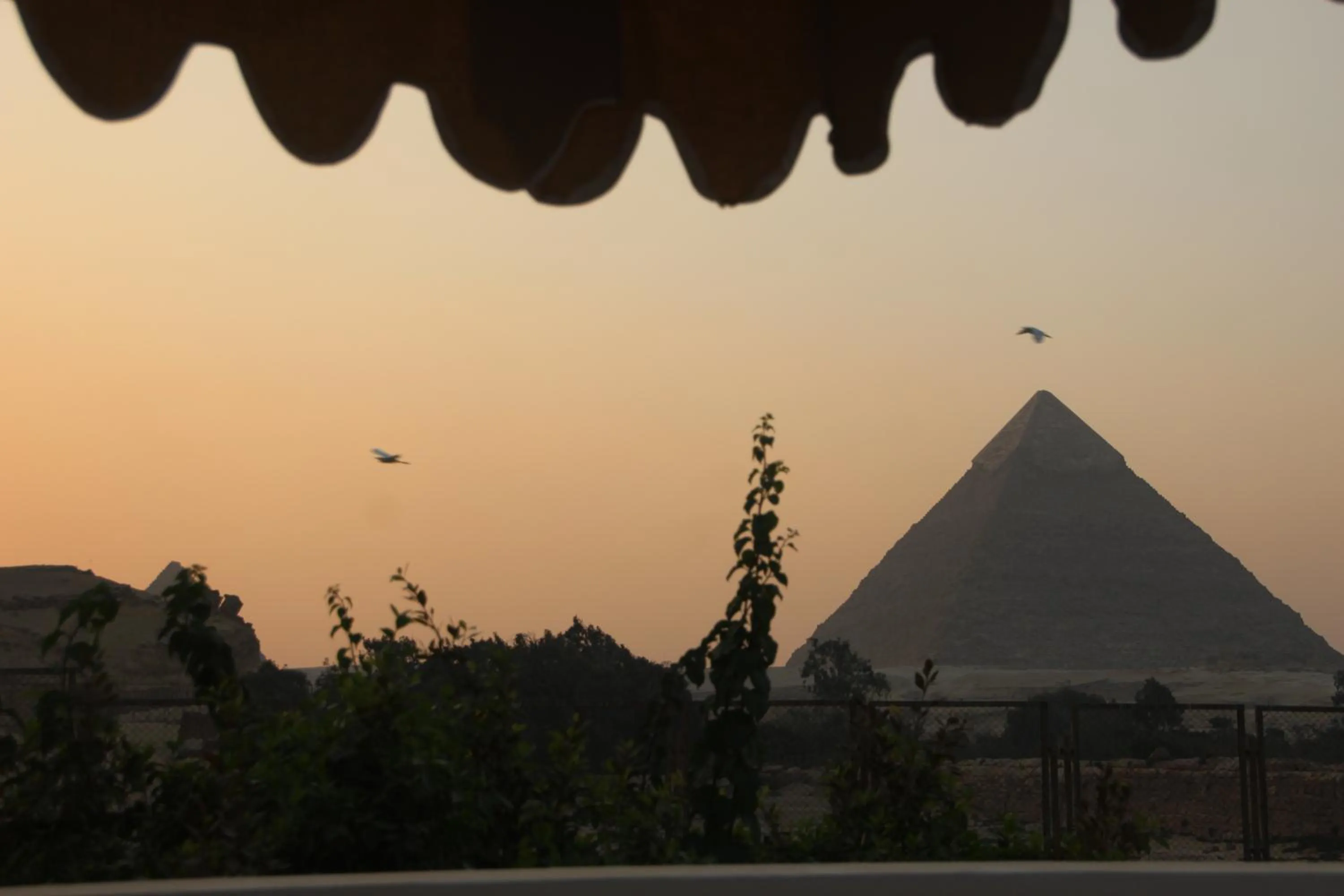 Farida Pyramids Boutique Hotel