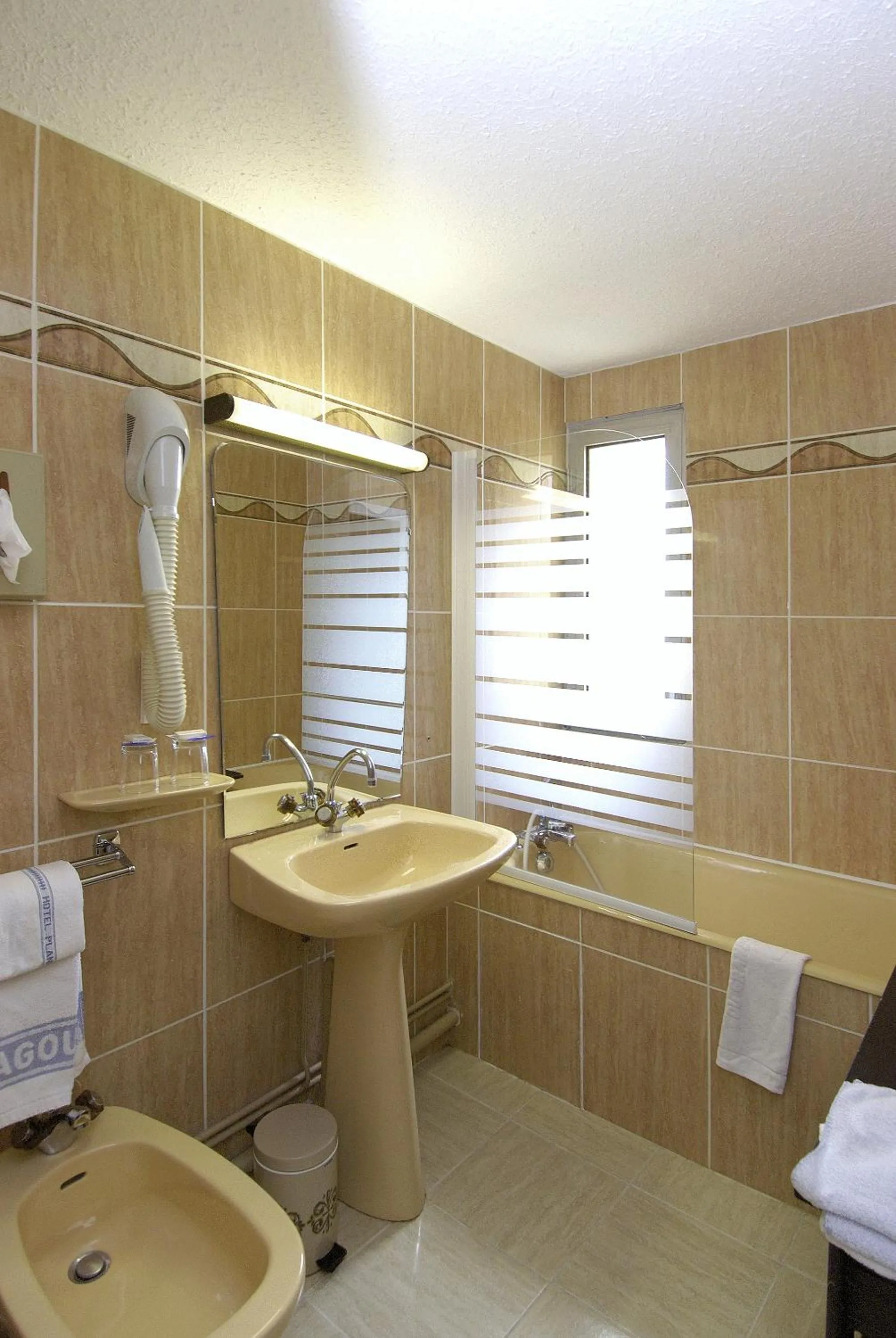 Bathroom in Logis Hotel Restaurant Planes