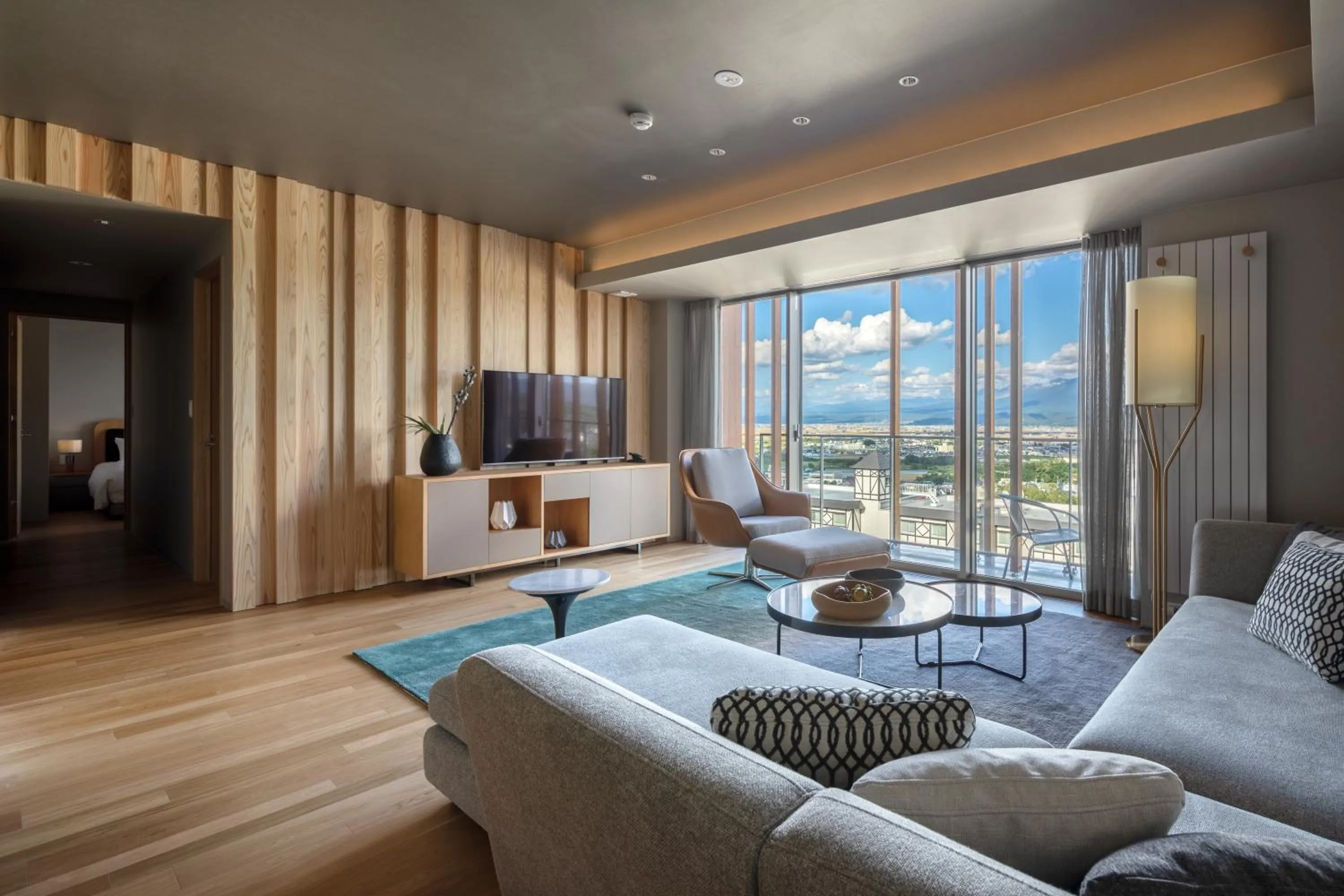 TV and multimedia in Fenix Furano