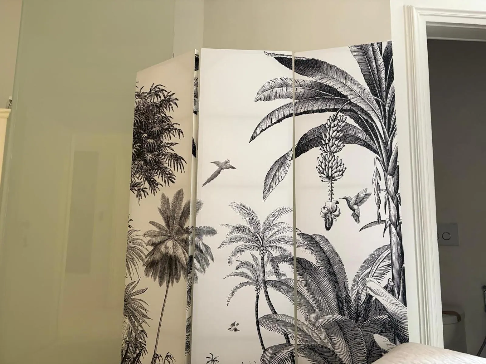 Decorative detail in Domus Dotta