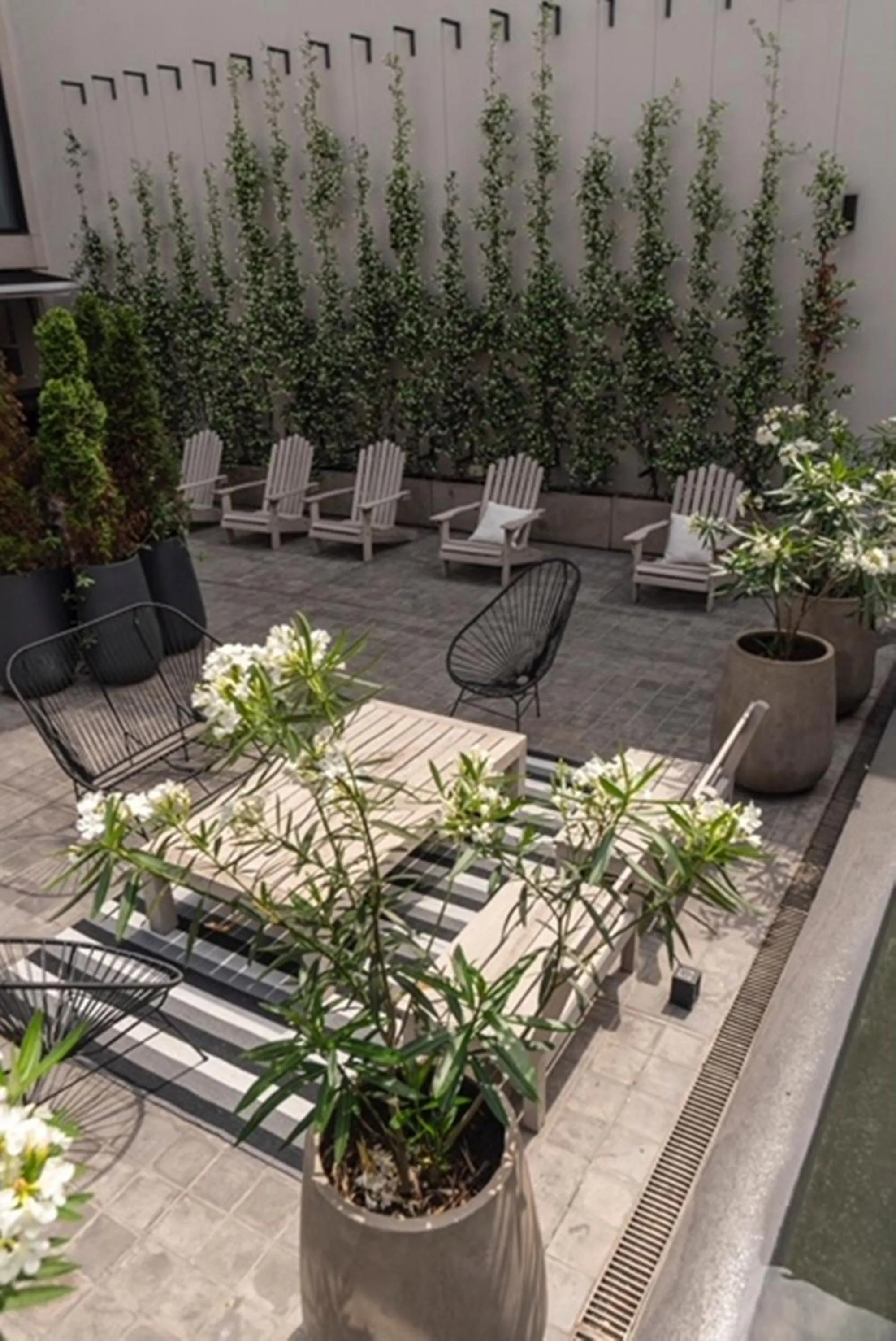 Garden view in Krista Boutique Hotel