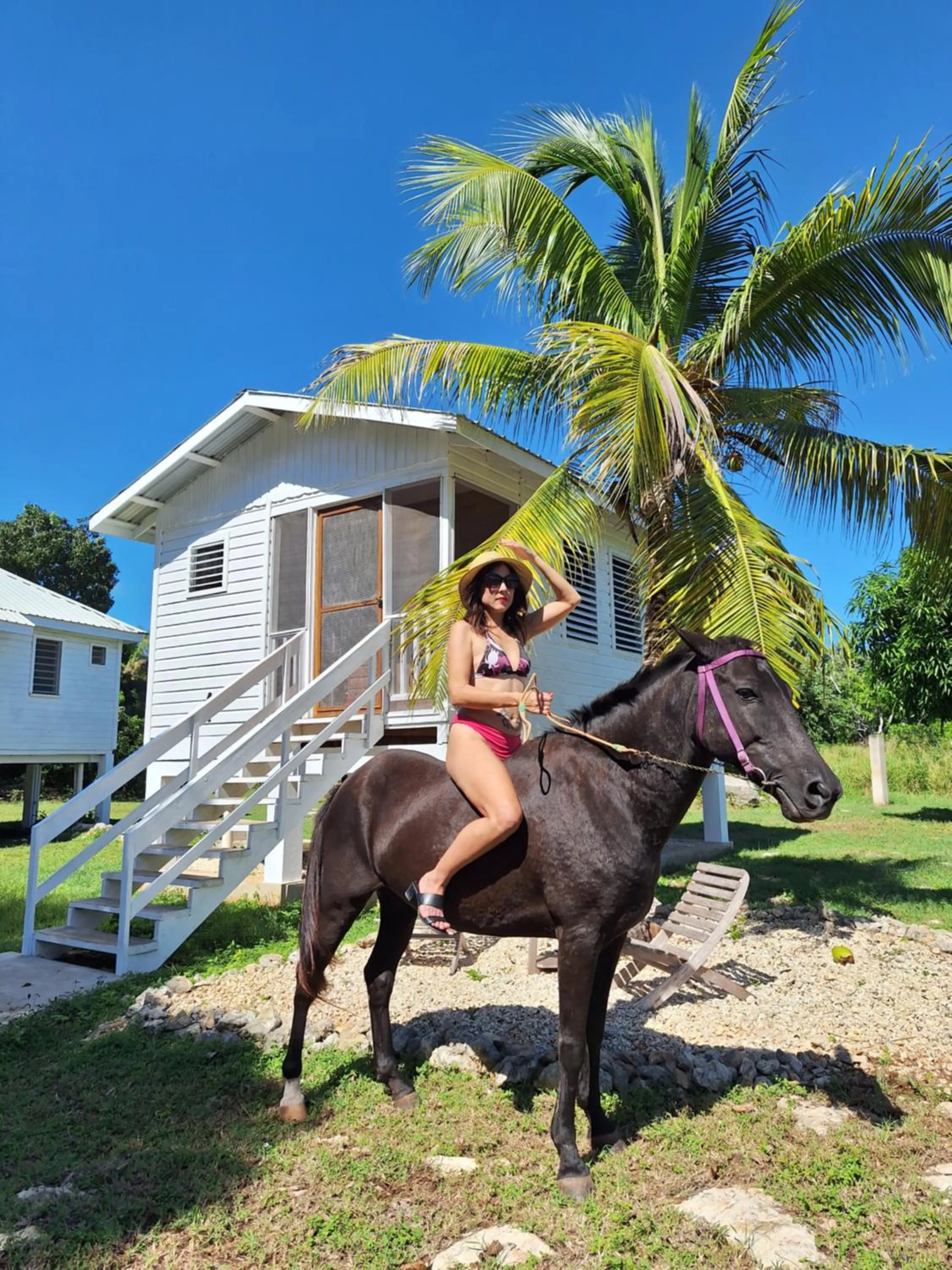 Garden in Horse Cottage