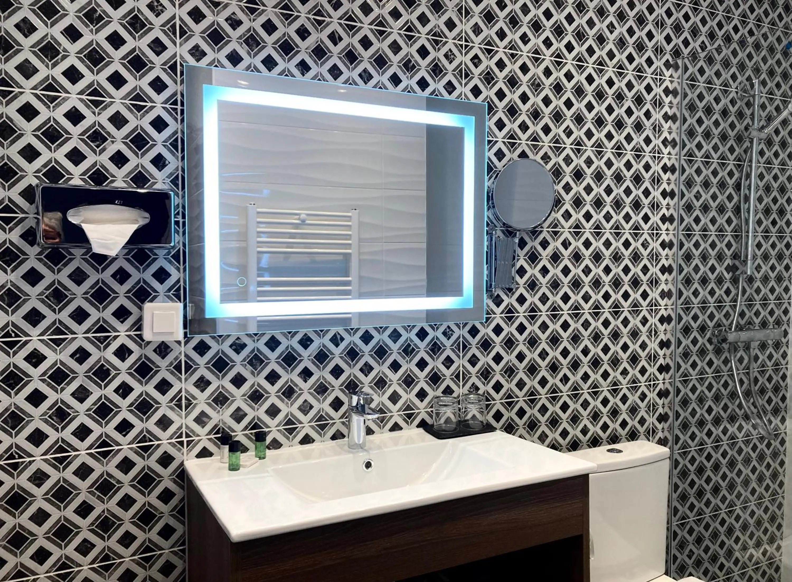 Shower in Logis Hotel Diana