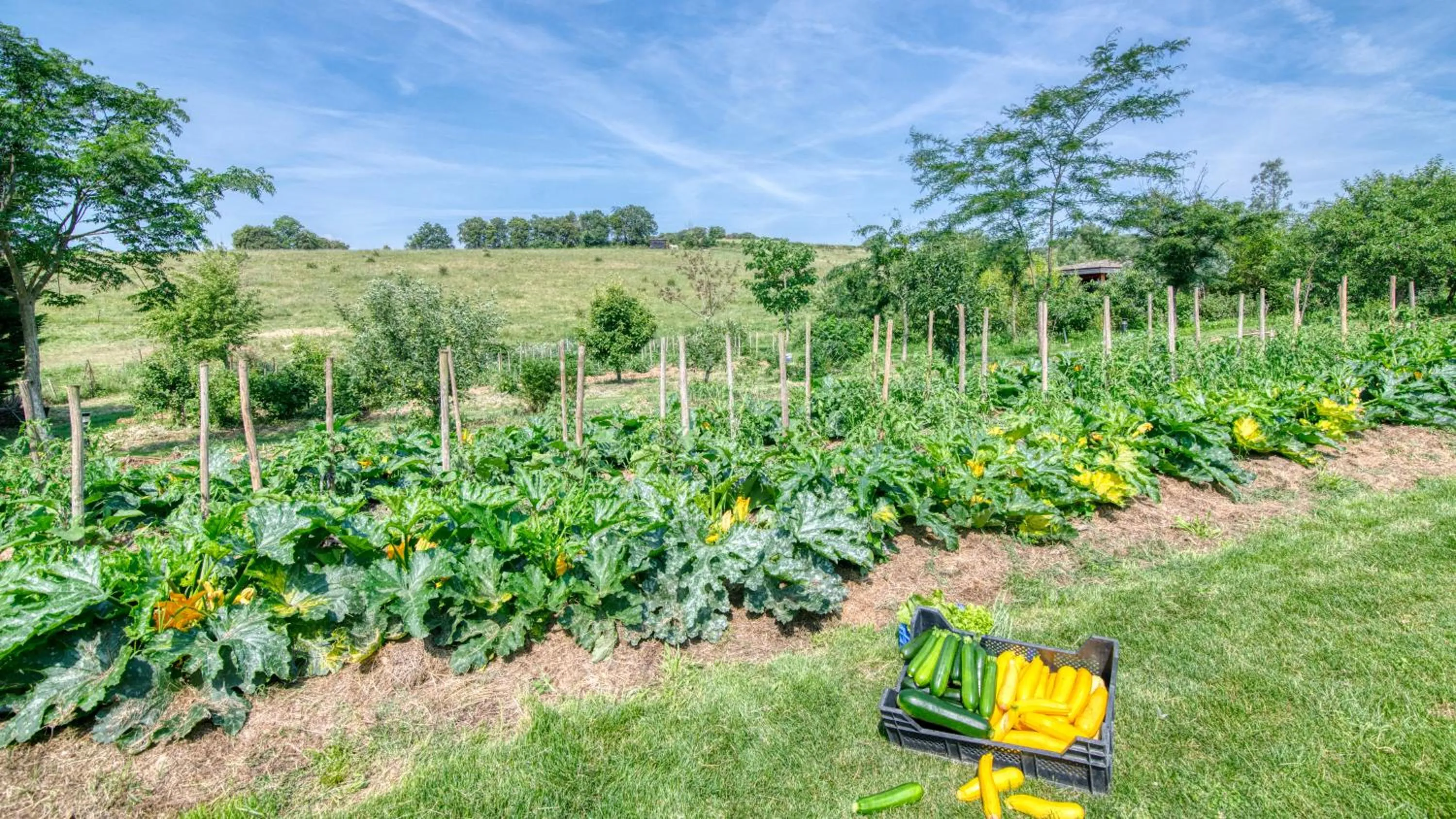 Garden view in Cabanes Trésors de Campagne,spas privatifs