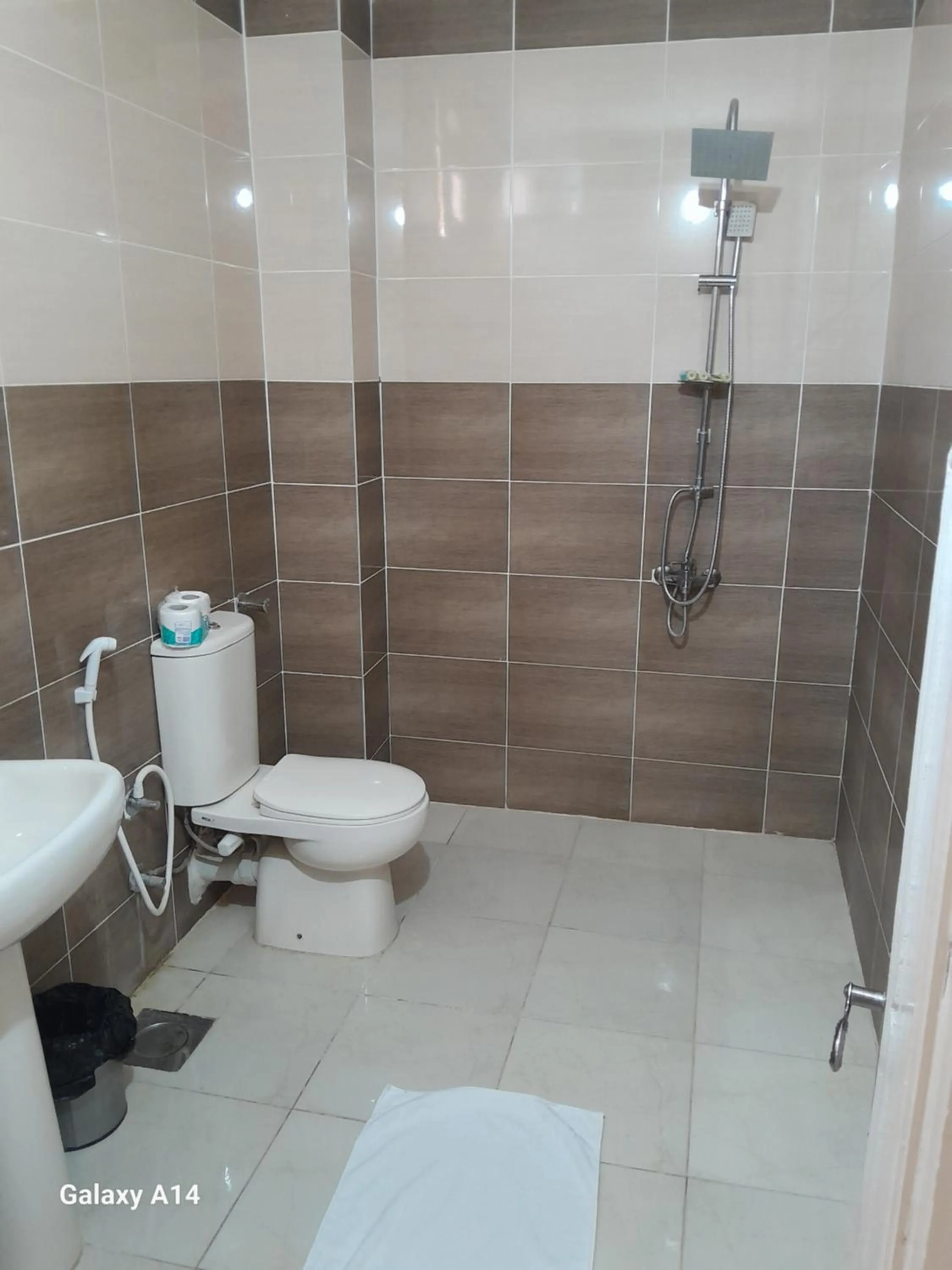 Toilet in Hllol Hotel Abu Simbel