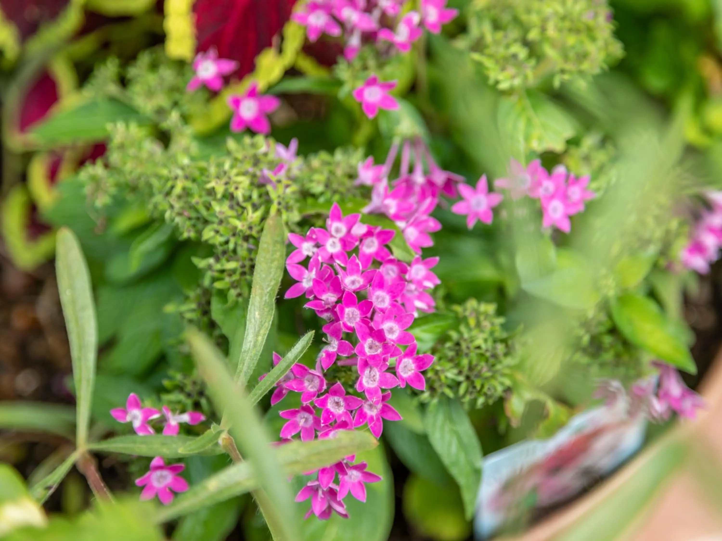 Tabist Asa Station Hotel