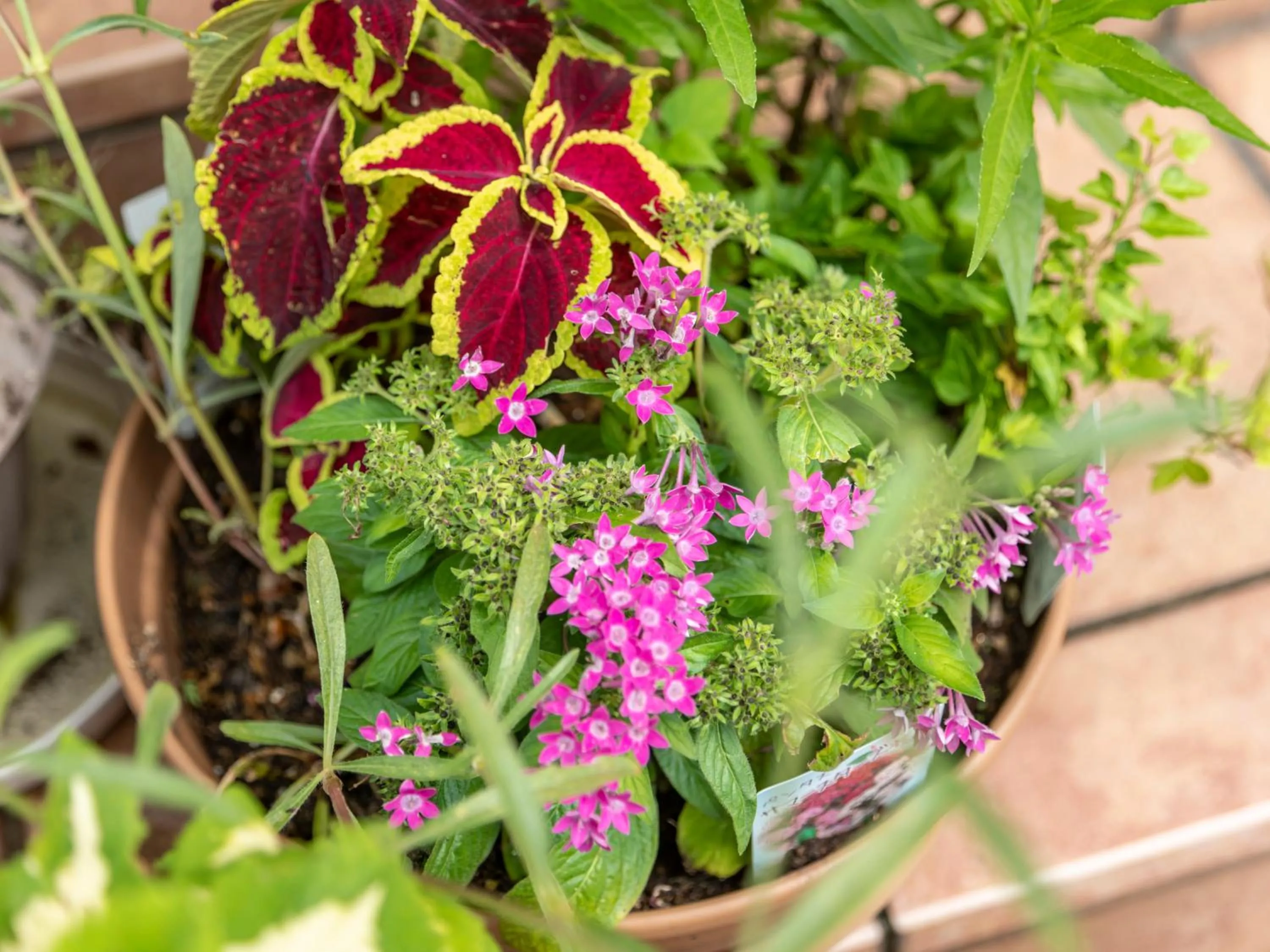 Tabist Asa Station Hotel