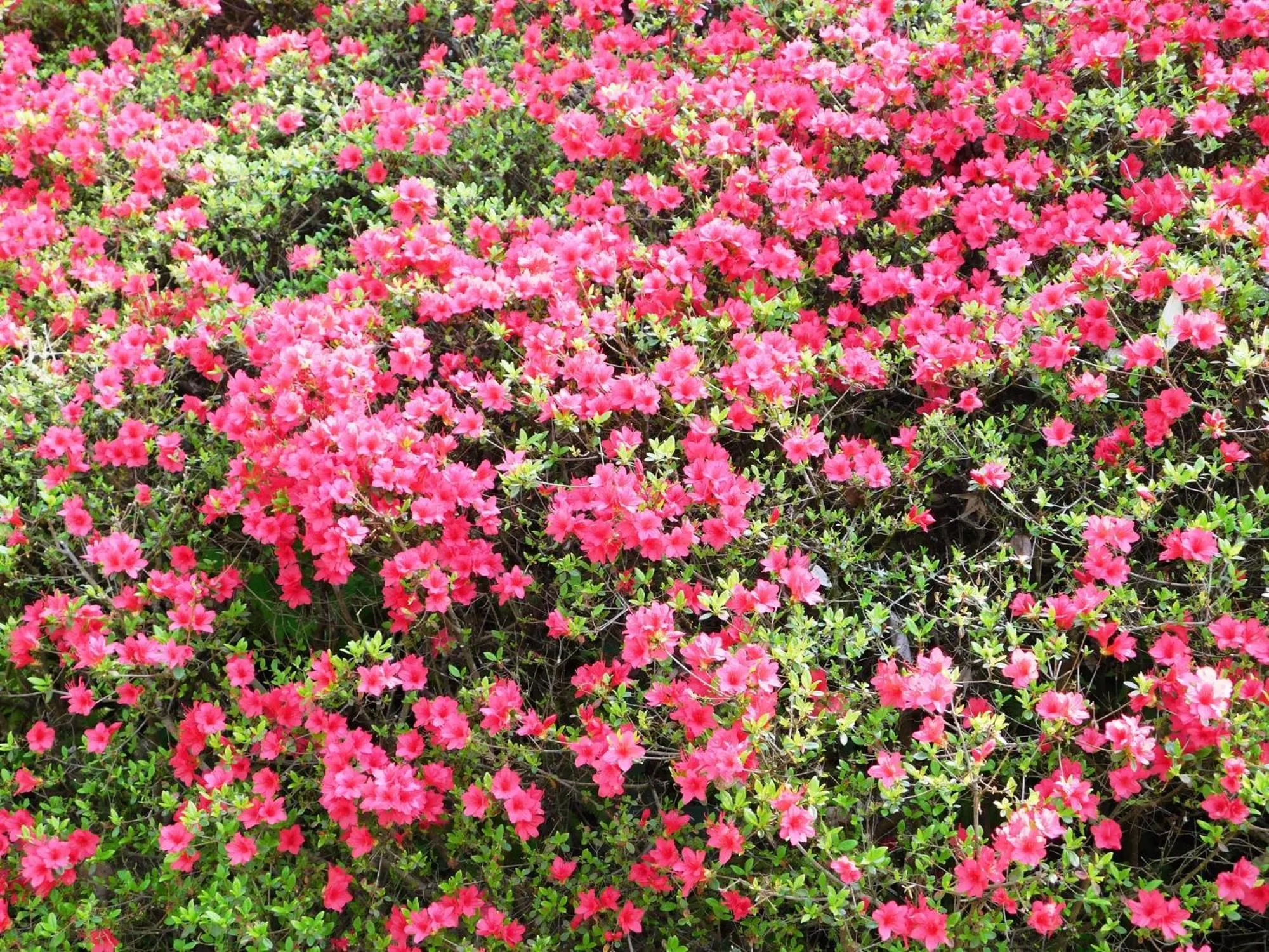 Tabist Asa Station Hotel