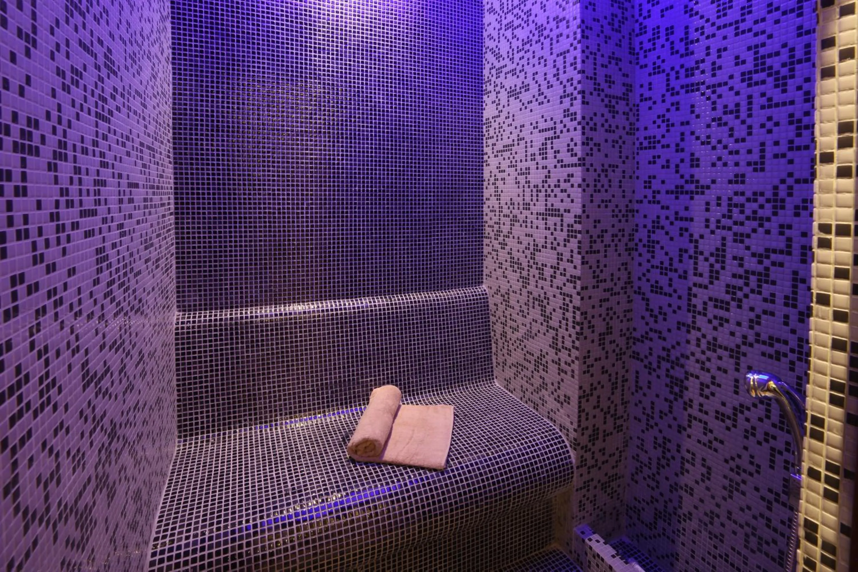 Steam room in Pell Palace Hotel & SPA