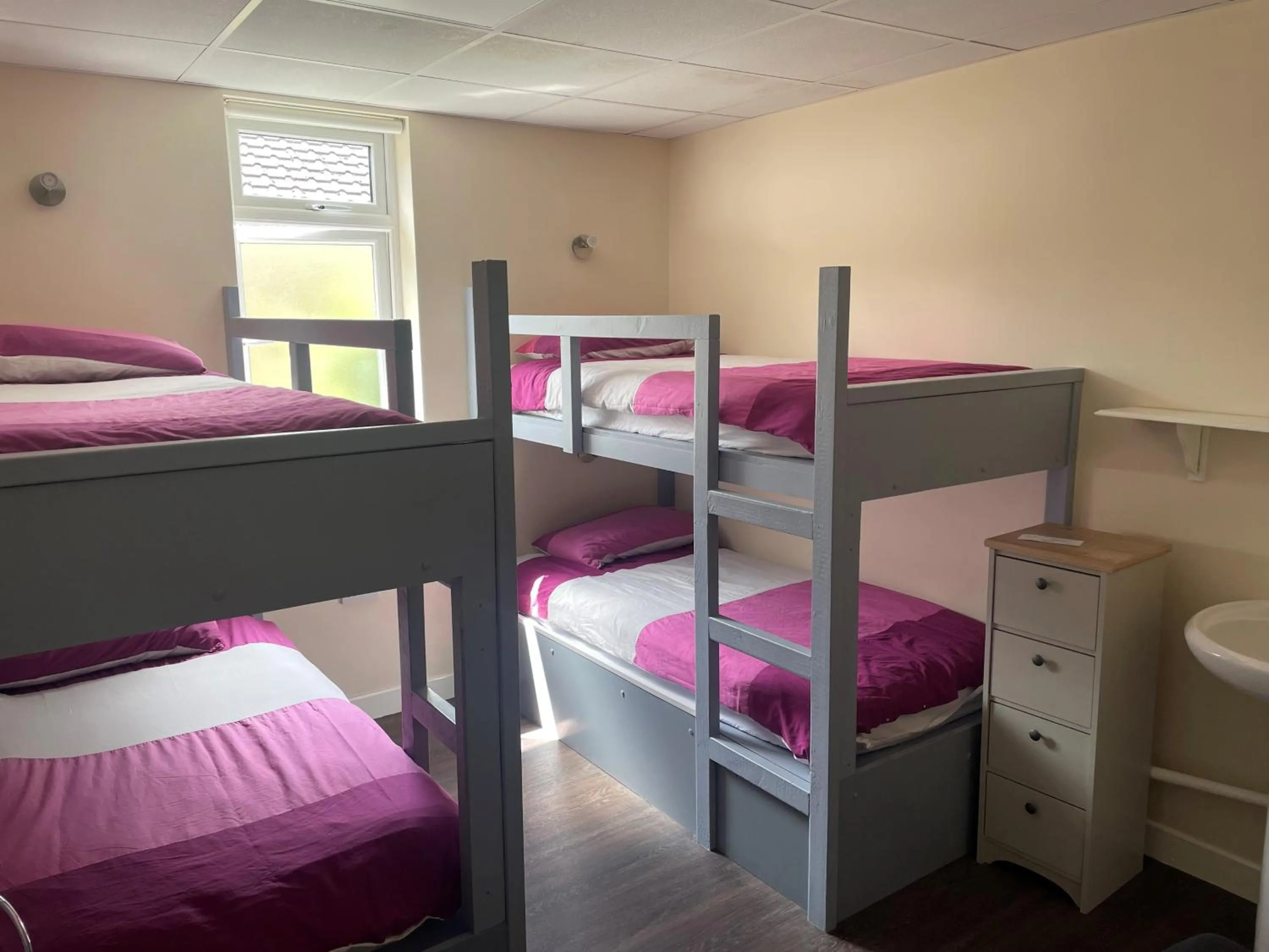 bunk bed, Bed in Greenway & Copper Coast Hostel