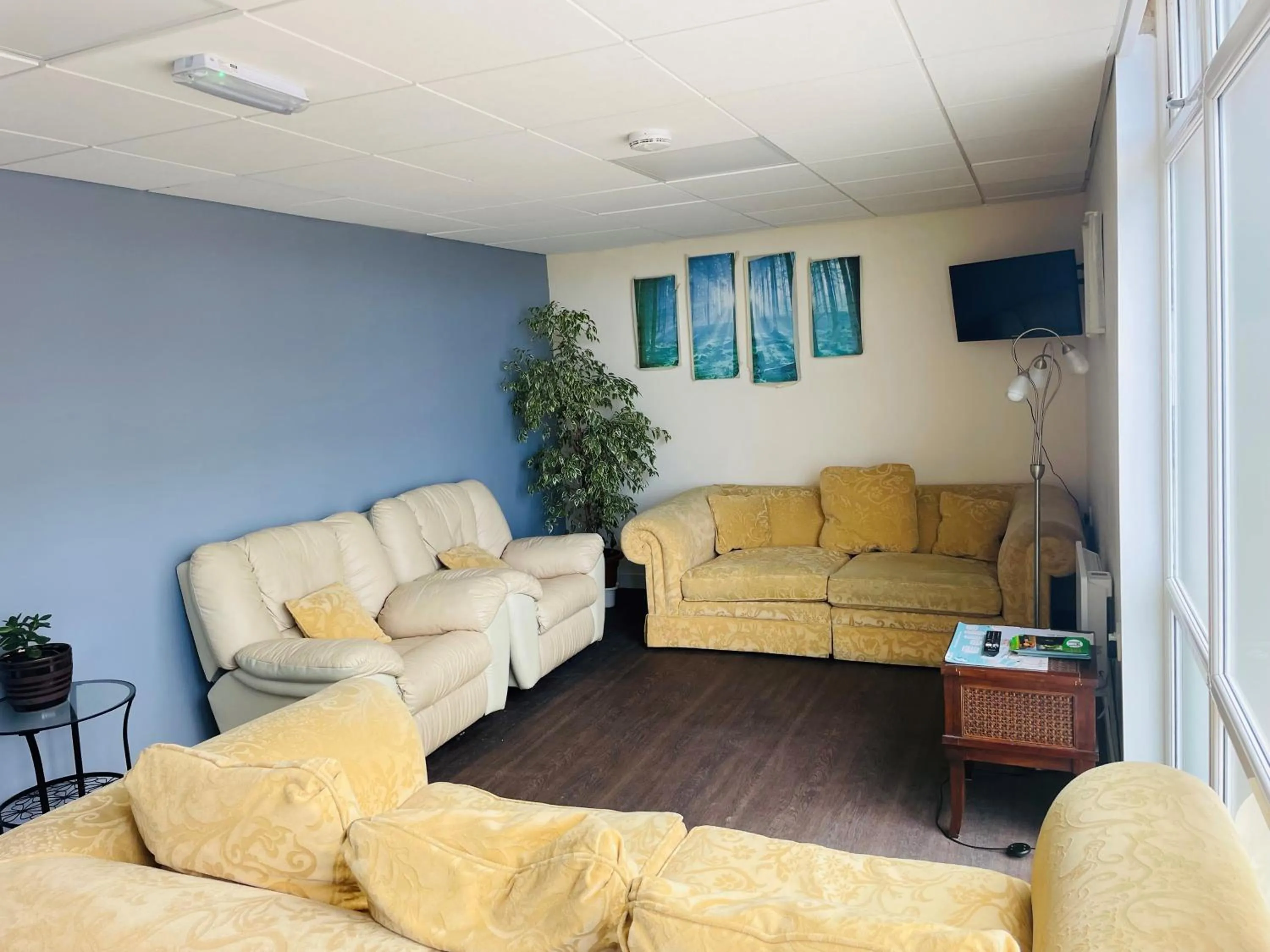 Communal lounge/ TV room in Greenway & Copper Coast Hostel