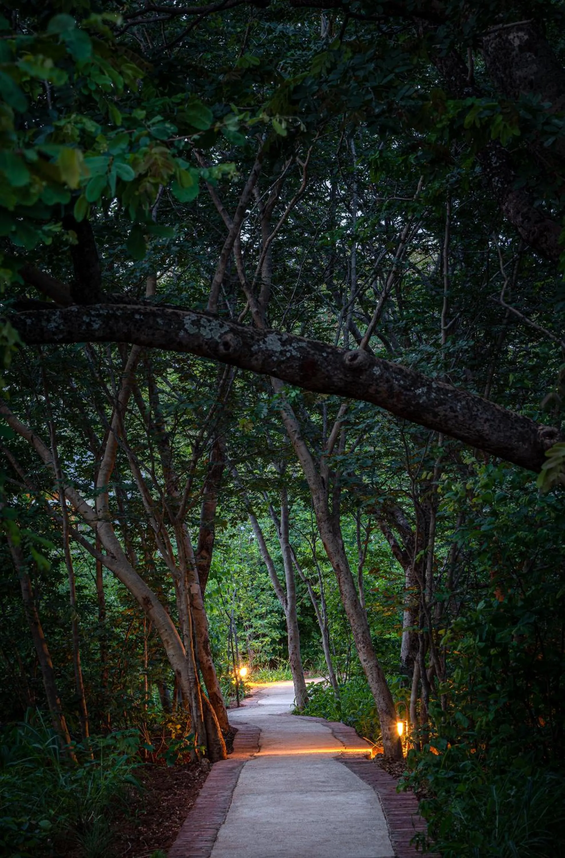 Natural landscape in Mbano Manor Hotel Victoria Falls