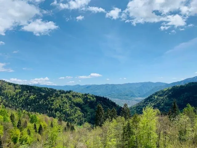 Albergo Croce d'Aune