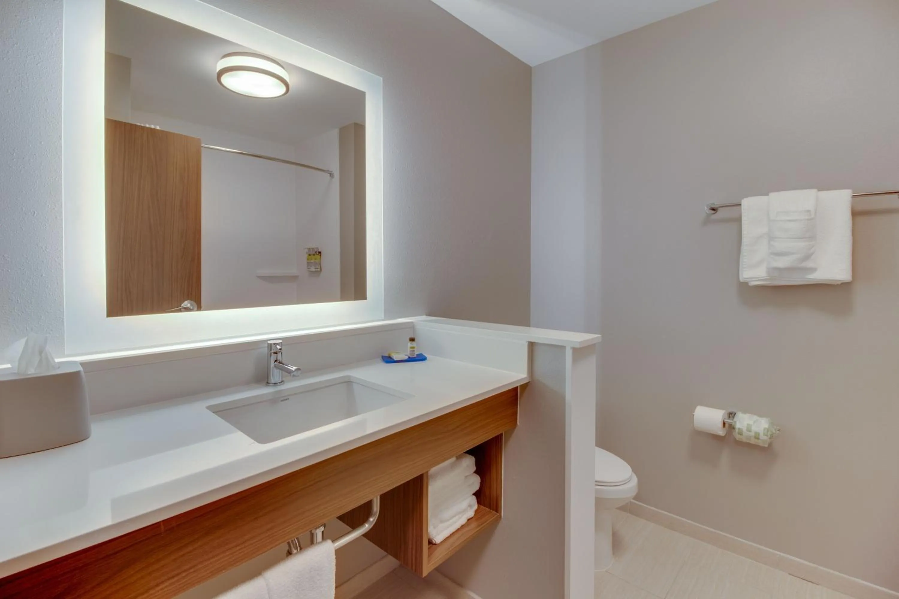 Bathroom in Holiday Inn Express & Suites - Union City by IHG