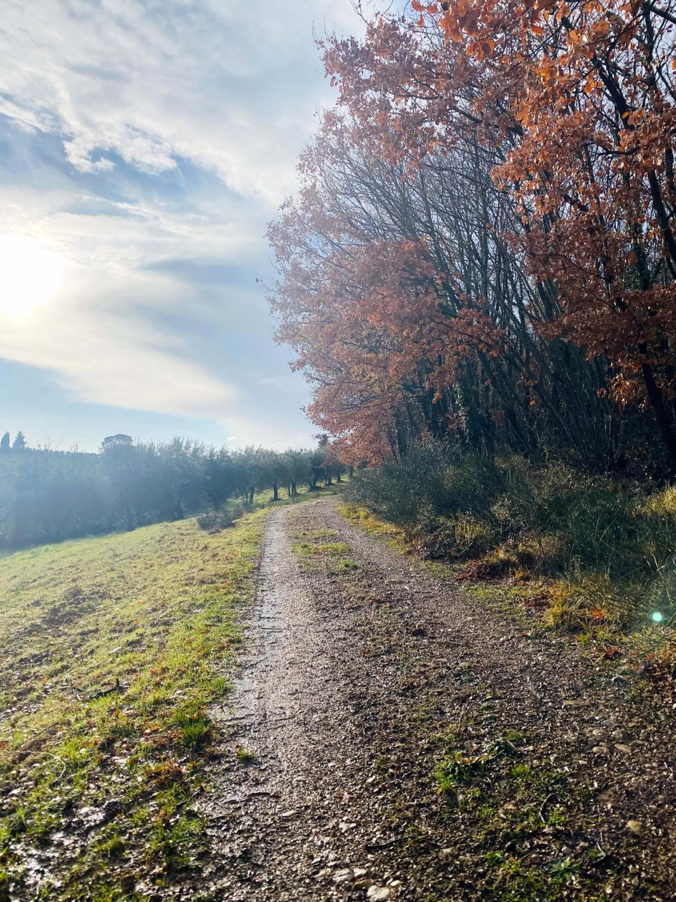 Other in Campora House