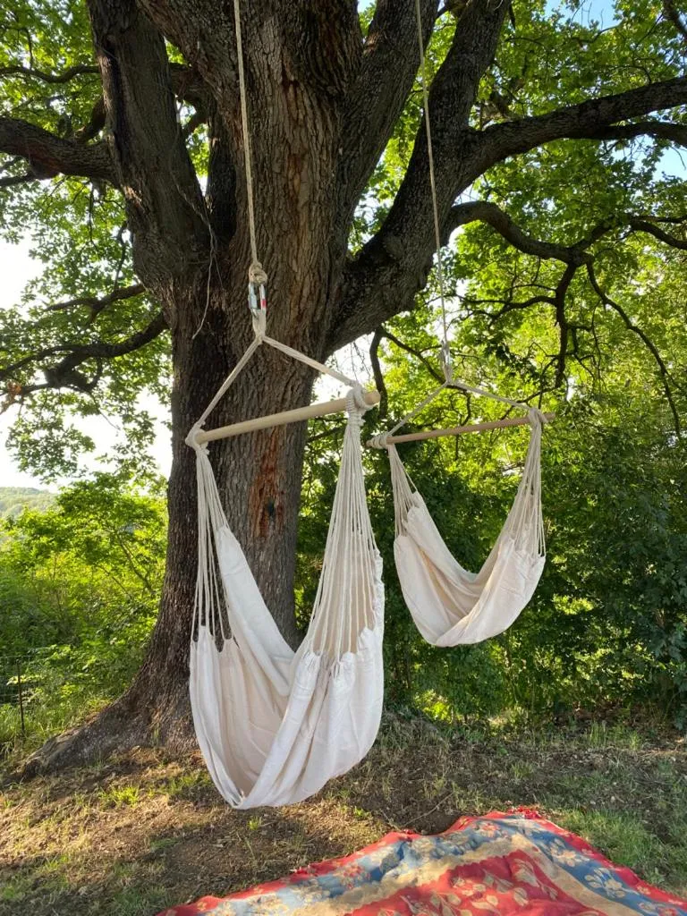 Spring in Campora House