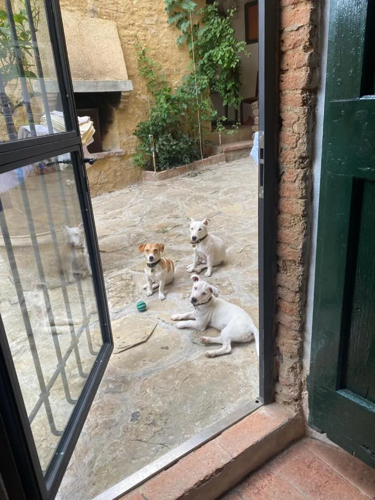 Staff in Campora House